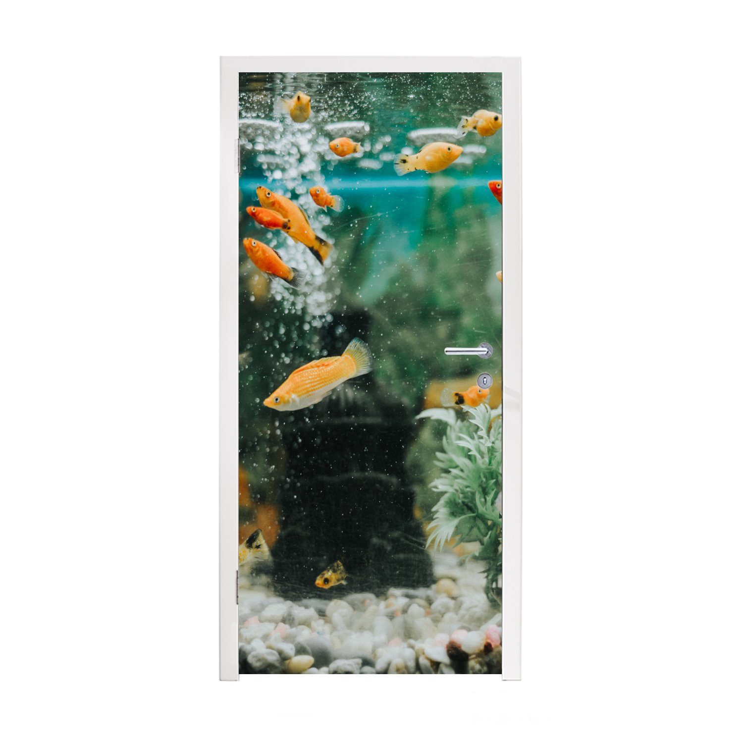 Matt, MuchoWow Türaufkleber, St), Kleine in Fische (1 Aquarium, Fototapete 75x205 einem cm Türtapete für bedruckt, Tür,