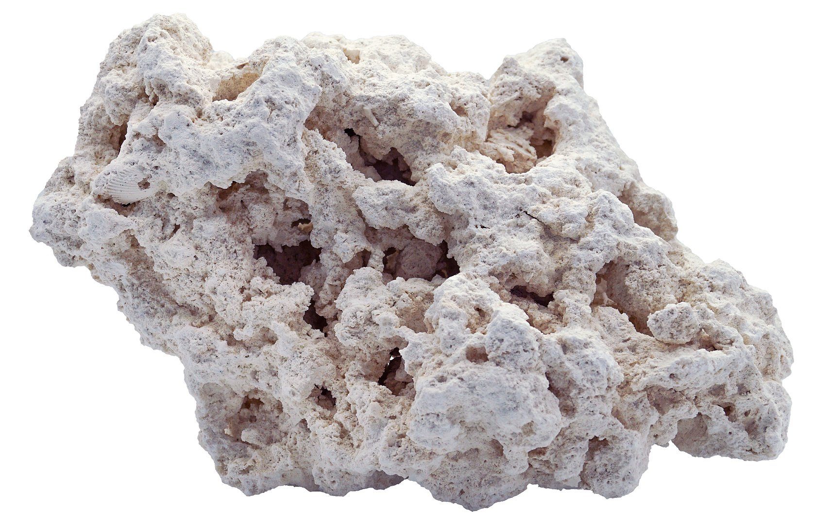 Aquariendeko Arka - myReef-Rocks natürliches Aragonitgestein