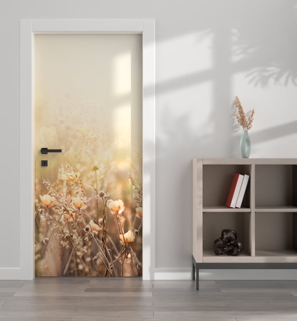 MyMaxxi Dekorationsfolie Türtapete Türposter Türfolie selbstklebend günstig online kaufen