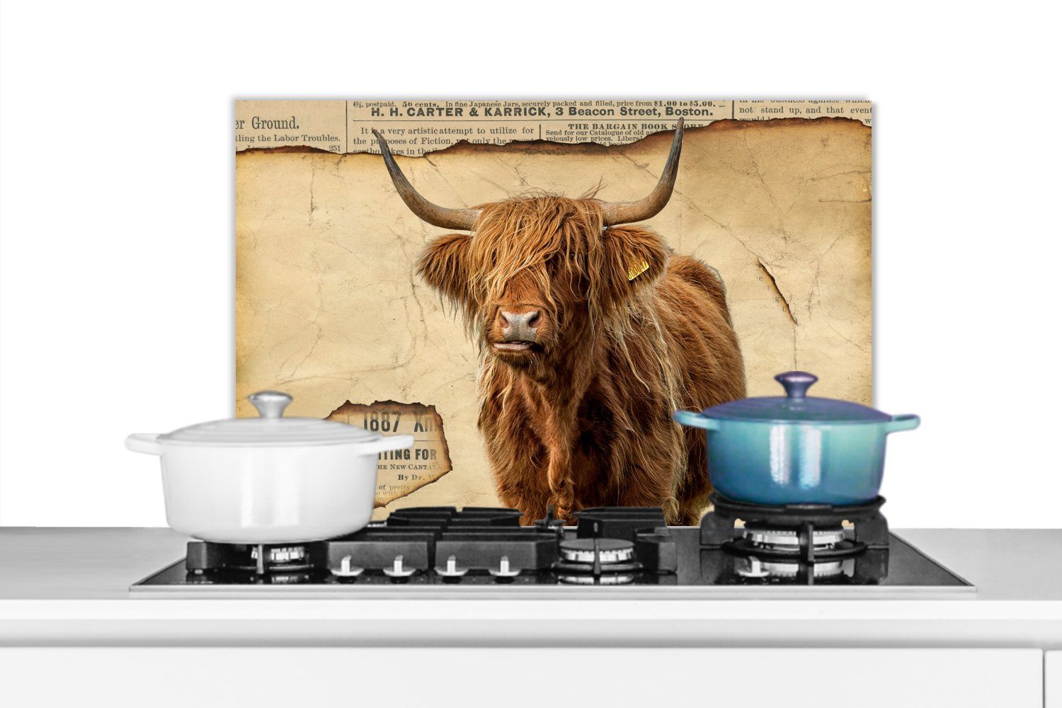 MuchoWow Küchenrückwand Schottischer Highlander - Retro - Zeitungsartikel, (1-tlg), 60x40 cm, Herdblende aus Wandschutz, Temperaturbeständig küchen