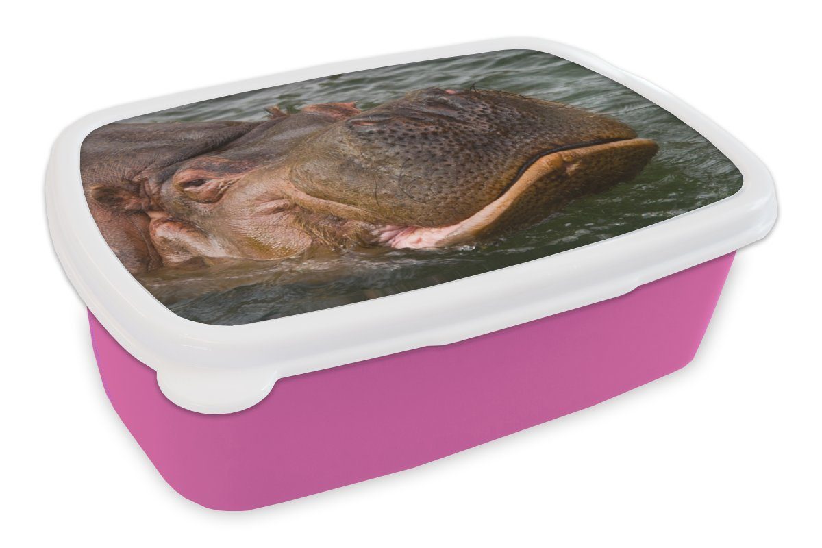 MuchoWow Lunchbox Nilpferd - Wasser, Kunststoff, (2-tlg), Brotbox für Erwachsene, Brotdose Kinder, Snackbox, Mädchen, Kunststoff rosa | Lunchboxen