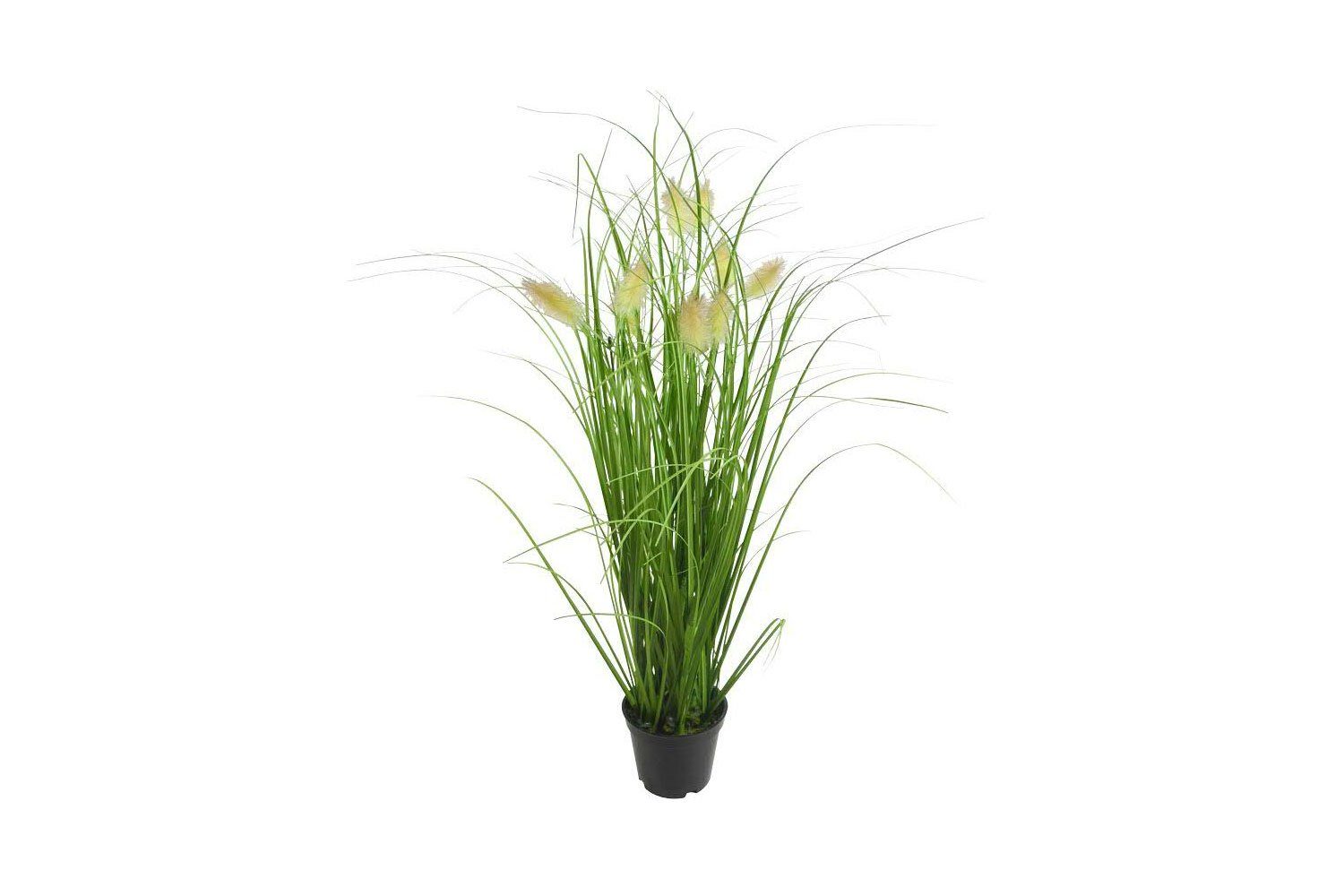 Kunstpflanze Gras im Topf mit Fuchsschwanz, ca. 58 cm, Höhe 58 cm