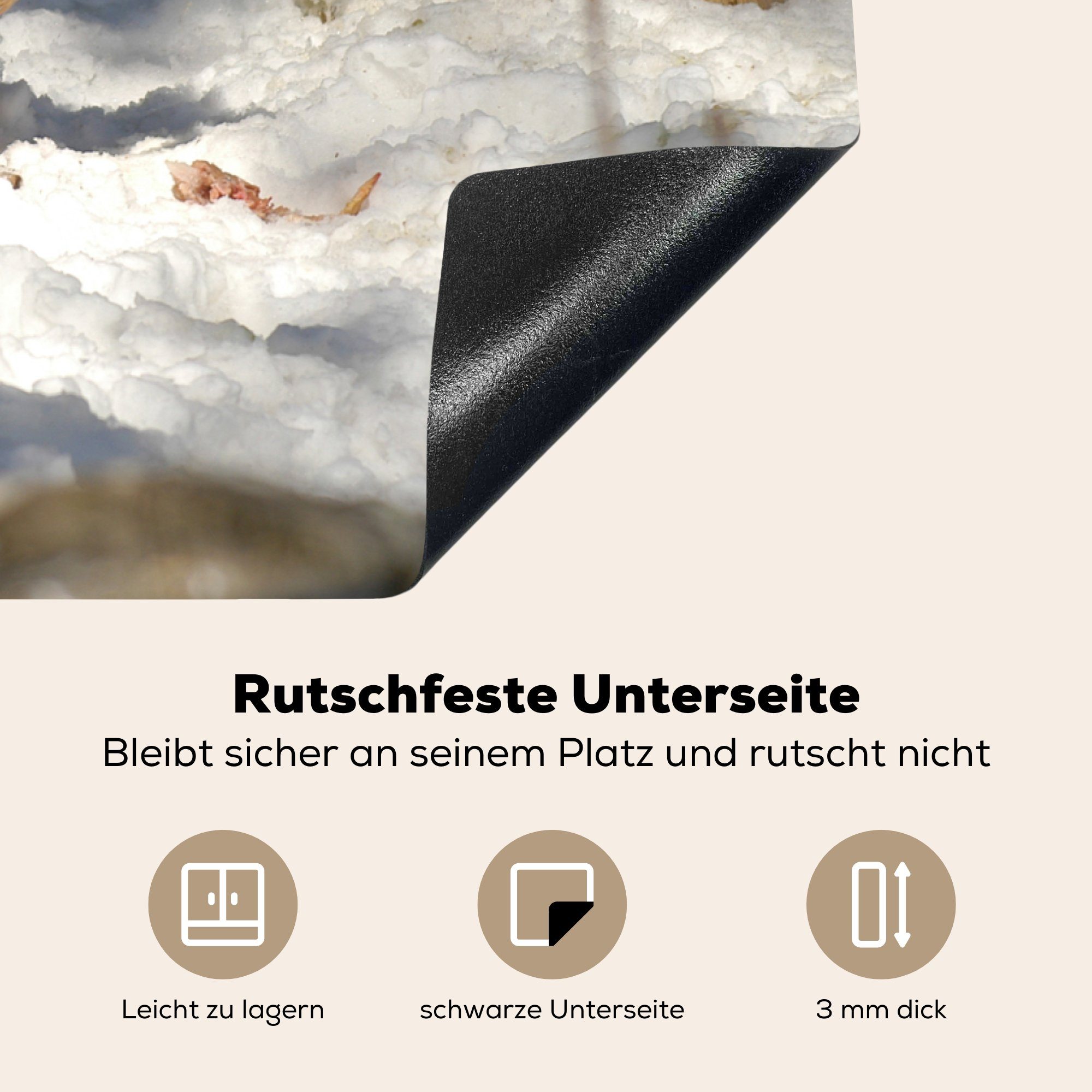 in Felslandschaft, Bartgeier verschneiten küche, MuchoWow einer Herdblende-/Abdeckplatte Schutz tlg), Vinyl, Ceranfeldabdeckung Induktionskochfeld cm, die 81x52 für (1