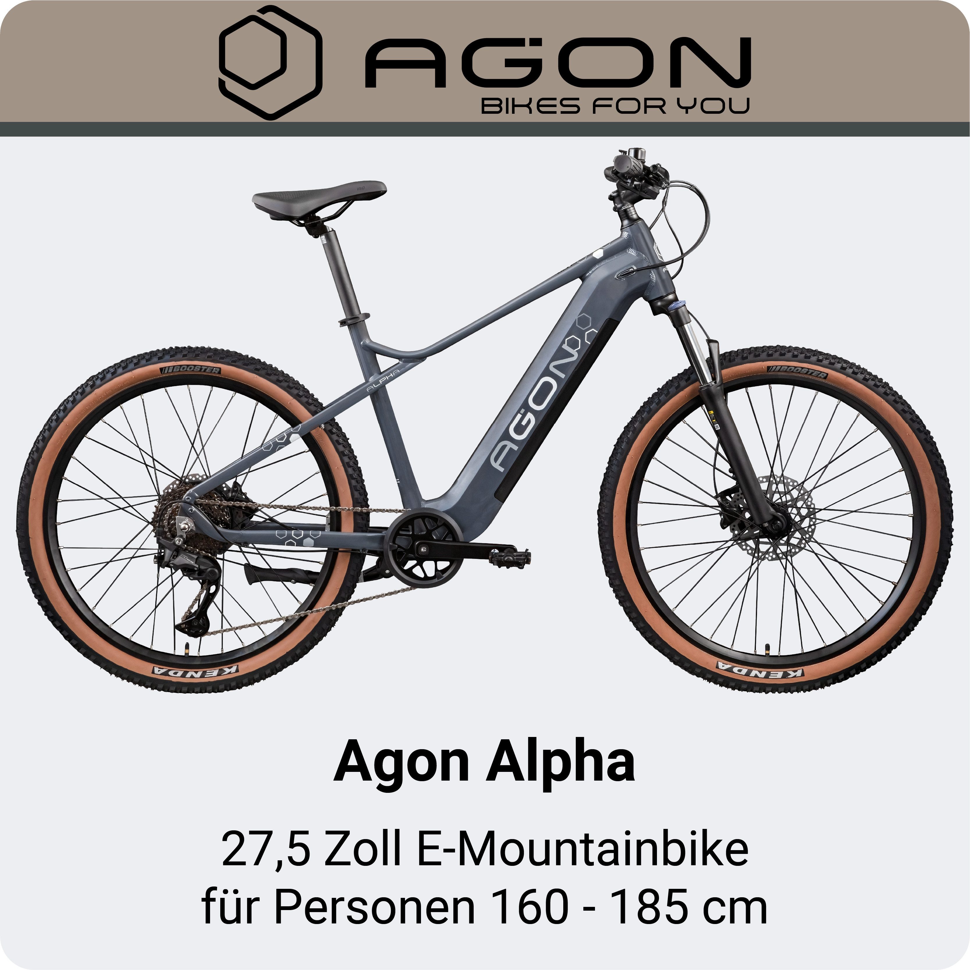 AGON E-Bike Mountainbike Alpha, 10 Gang Shimano Deore SGS T6000 Schaltwerk, Kettenschaltung, Heckmotor, 540 Wh, Pedelec, Elektrofahrrad für Damen u. Herren, MTB