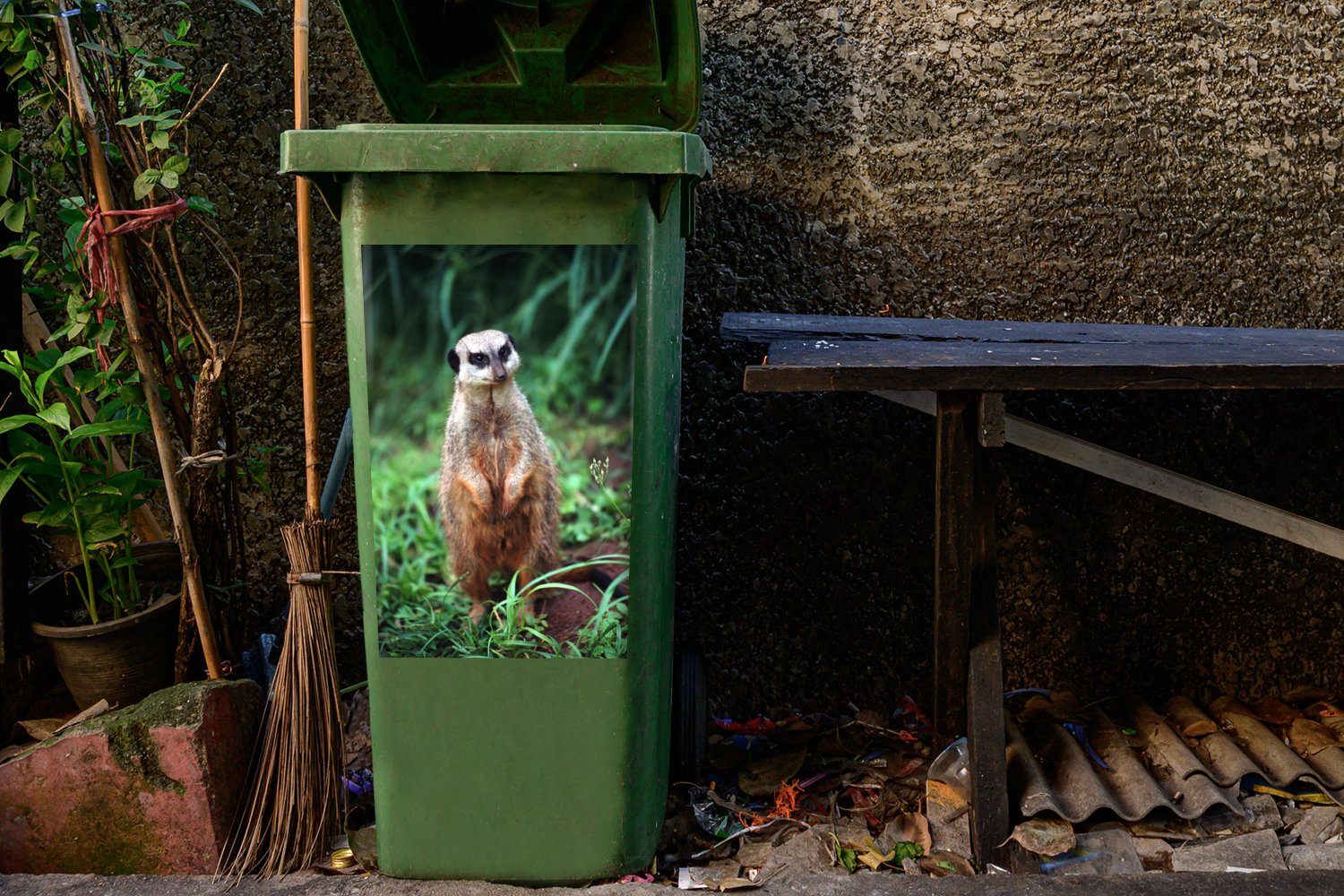Erdmännchen Wandsticker (1 Gras Mülltonne, Tier Abfalbehälter St), - MuchoWow Mülleimer-aufkleber, - Sticker, Container,