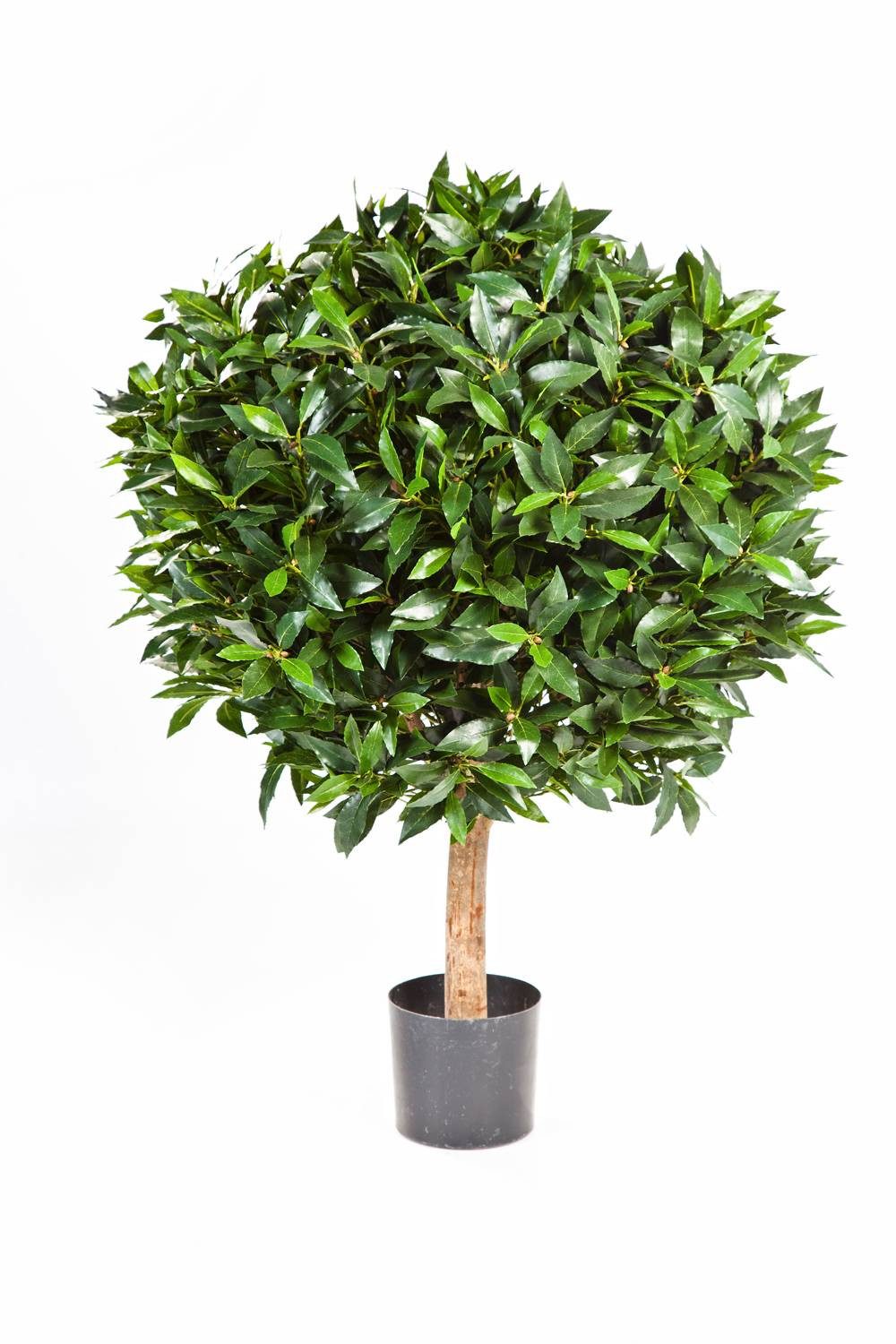 Kunstbaum Lorbeer Kugel Tiberius, Echtstamm, Früchte, 60cm, Ø 50cm Lorbeer (Kirschlorbeer), artplants, Höhe 60.0 cm