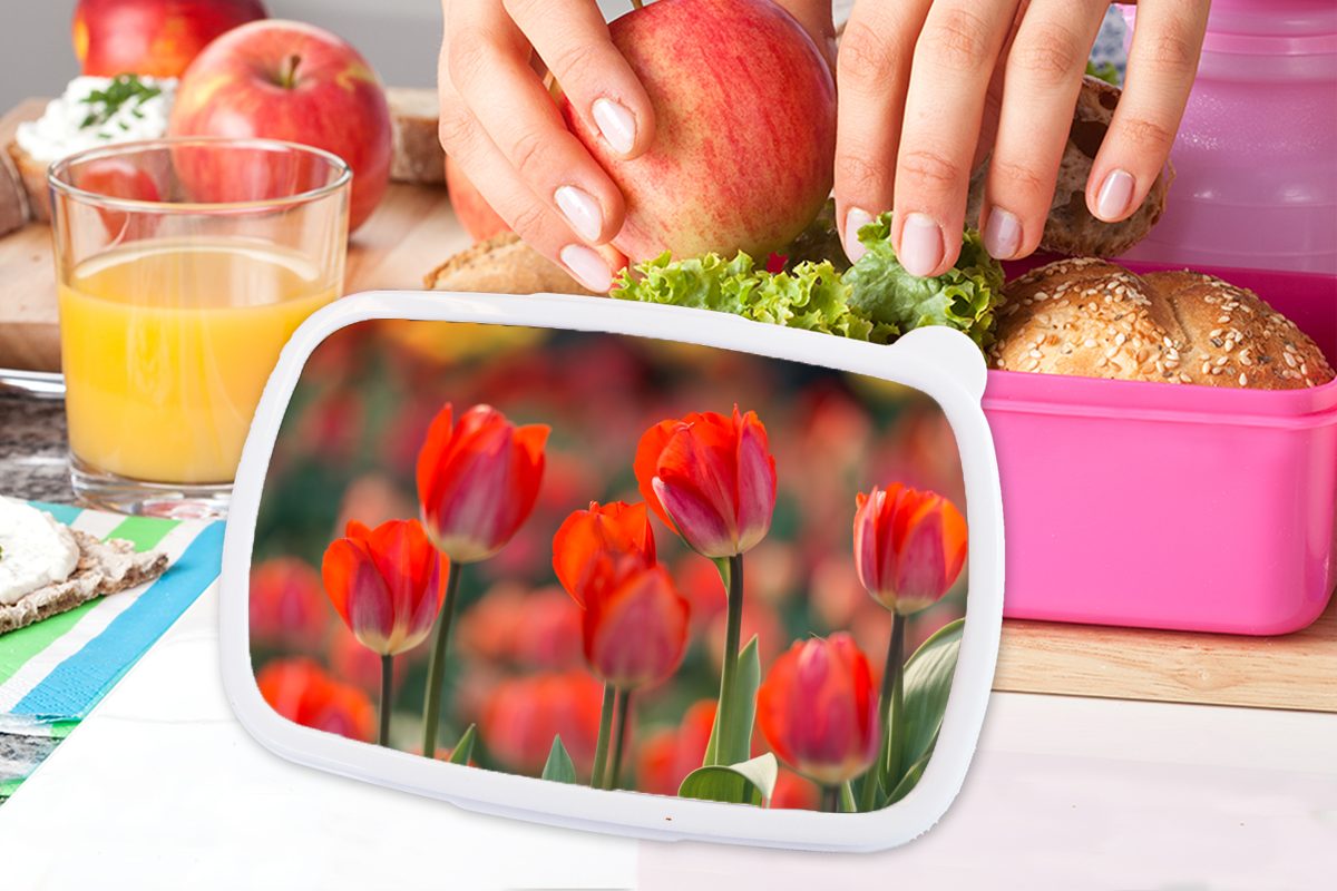 MuchoWow Lunchbox Eine Mädchen, roten Brotdose rosa Erwachsene, (2-tlg), für Tulpen, von Brotbox Snackbox, Kunststoff, Kinder, Nahaufnahme Kunststoff
