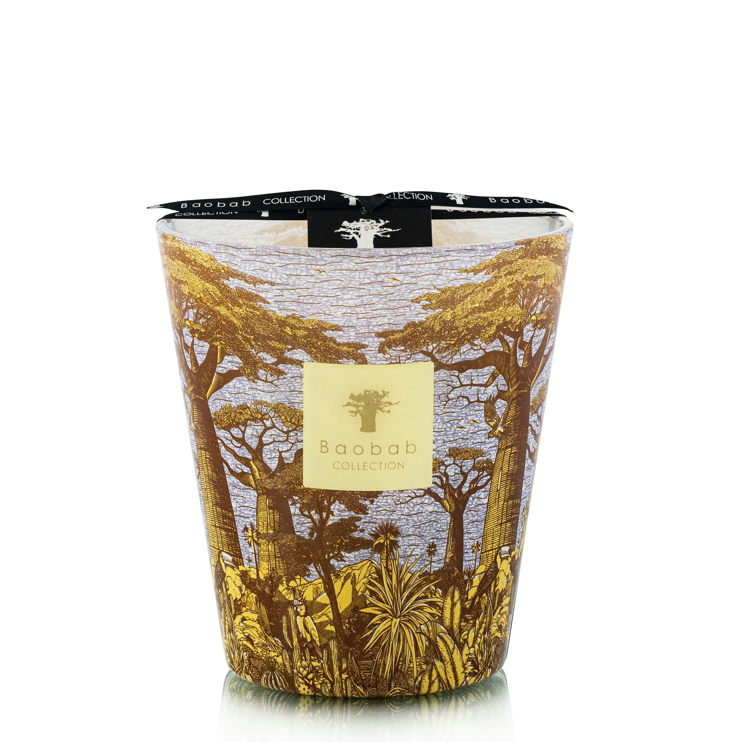 Baobab Duftkerze Baobab Duftkerze Sacred Trees Cocody