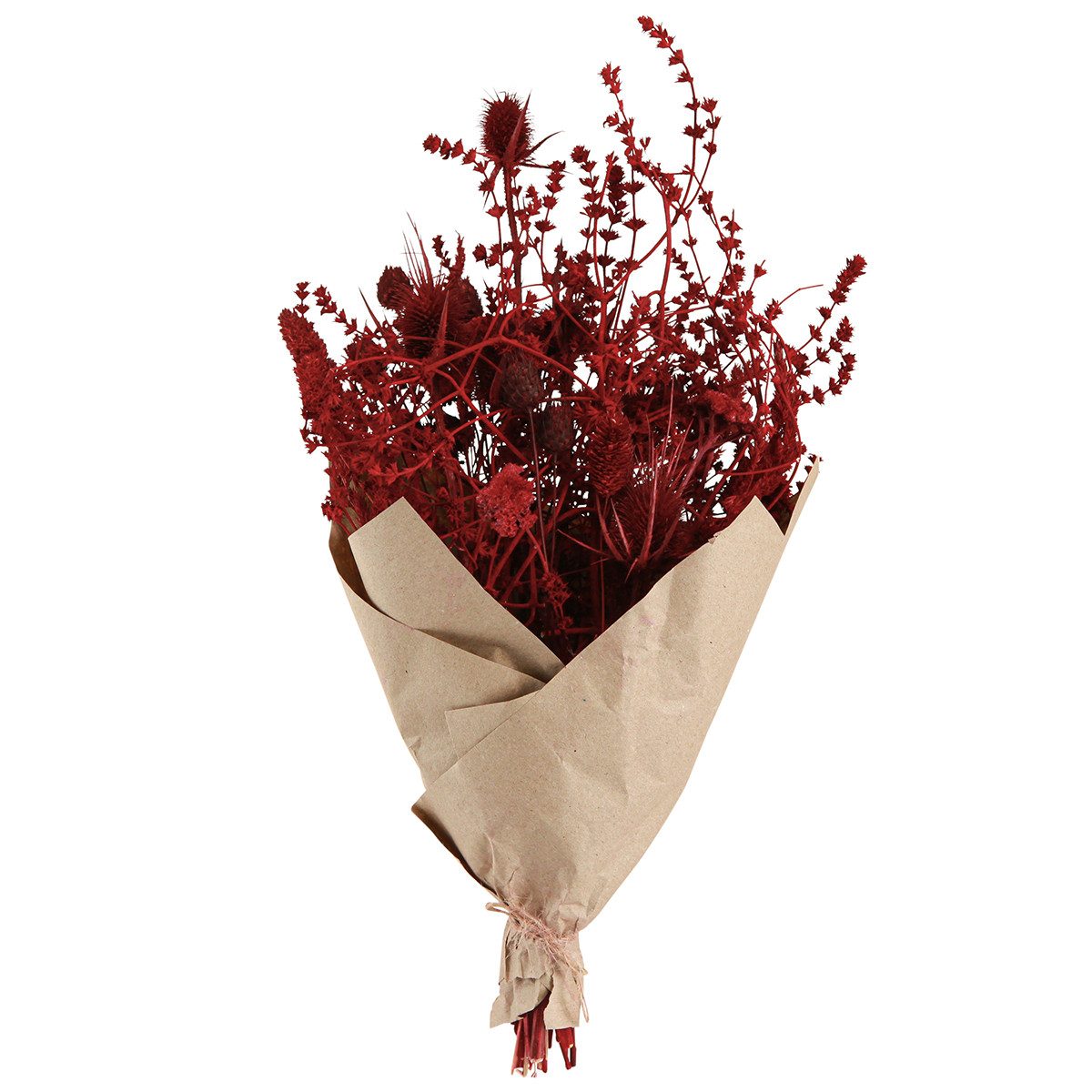 Trockenblume Trockenblumenstrauß Weinrot Deko Distel 40cm 80g, Viana, Höhe 20 cm