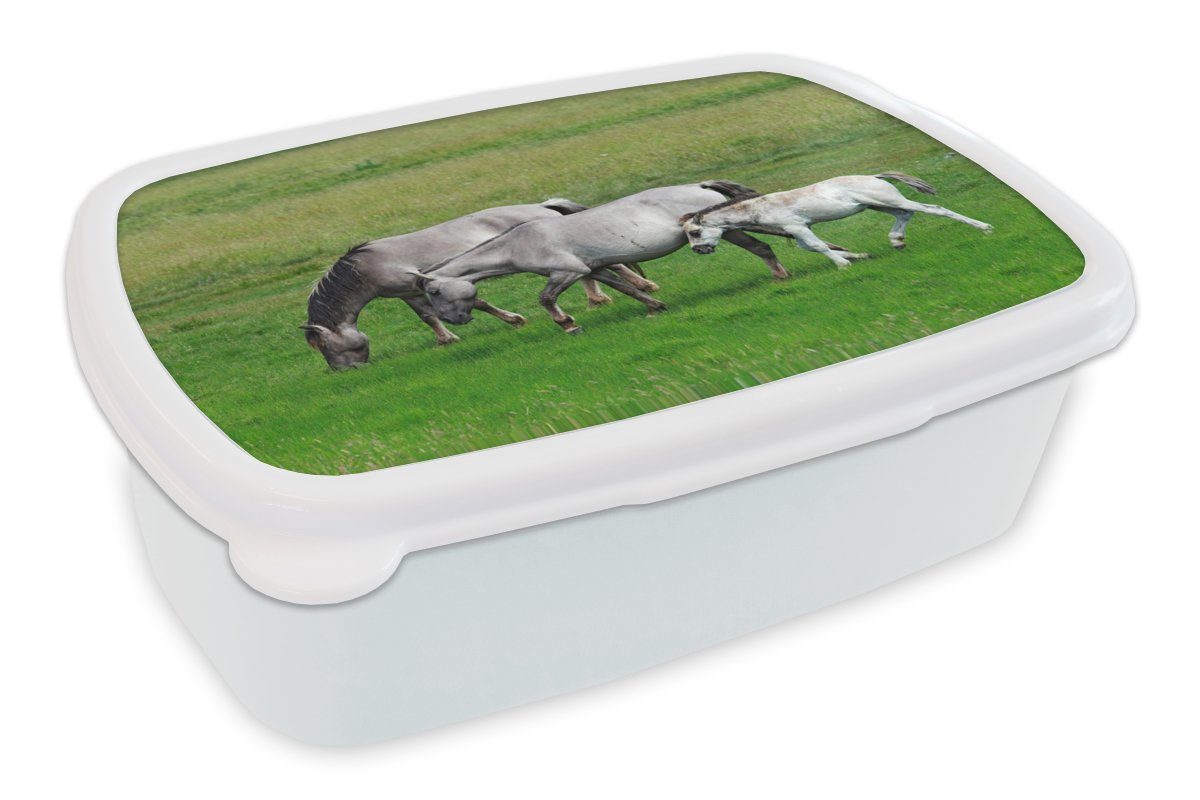MuchoWow Lunchbox Pferde - Tiere - Gras, Kunststoff, (2-tlg), Brotbox für Kinder und Erwachsene, Brotdose, für Jungs und Mädchen weiß