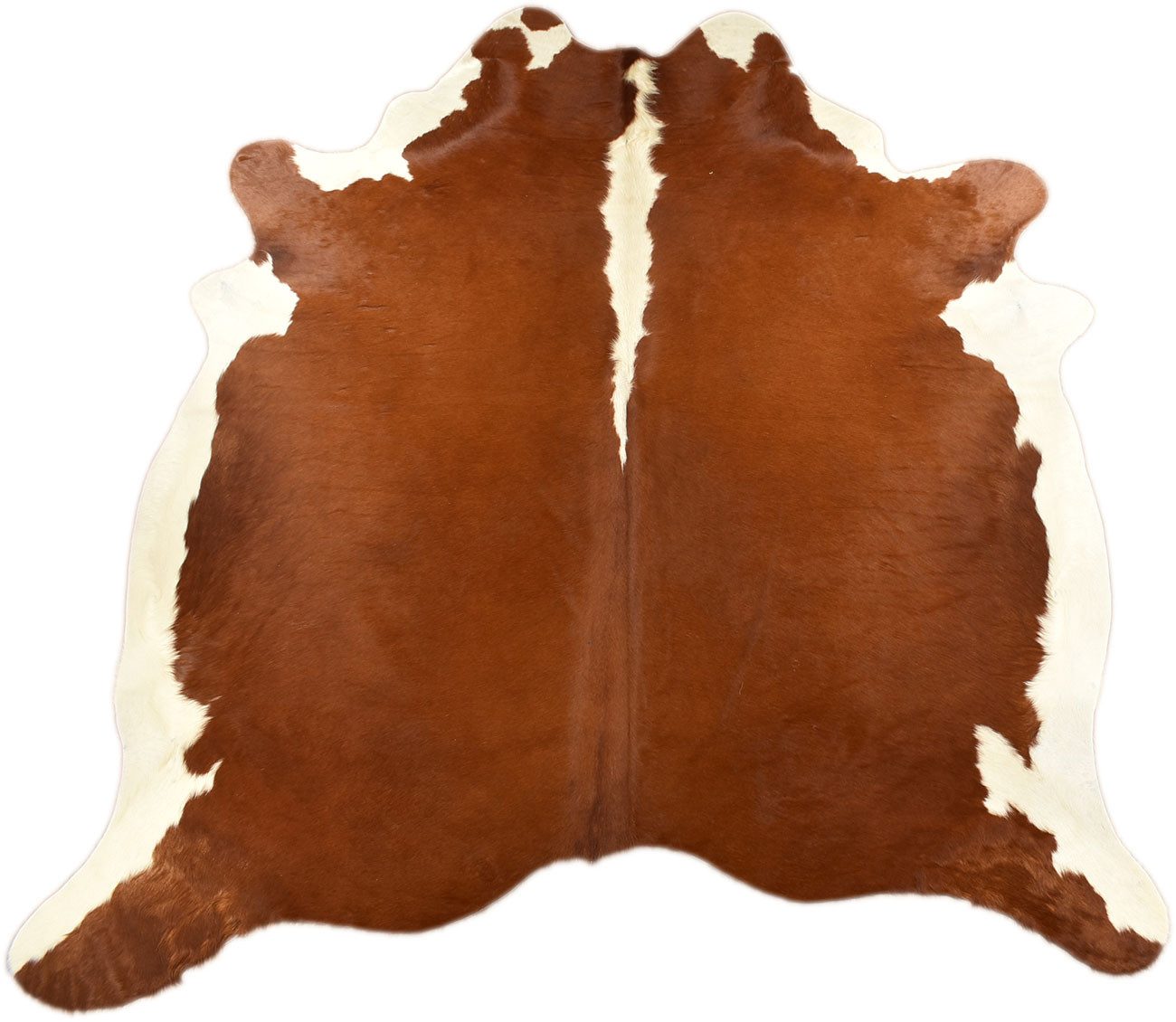 KUHFELL online & NOMAD Fellteppich KUHFELL RINDERFELL BRAUN WEISS HERFORD 200 X 180 CM
