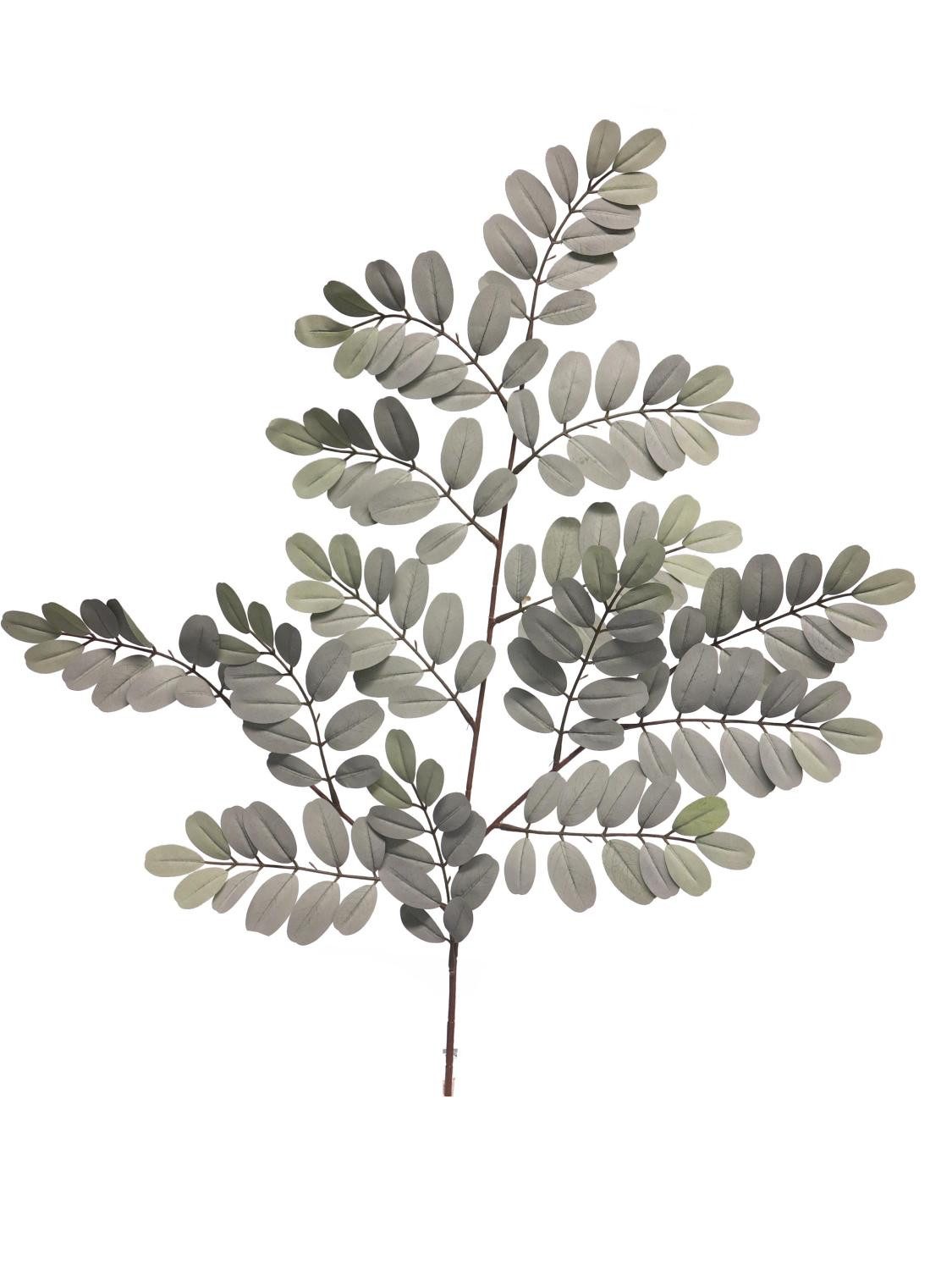 Kunstzweig Deko Zweig Robinie WENLIN, grau-grün, 70 cm Robinie, artplants, Höhe 70.0 cm