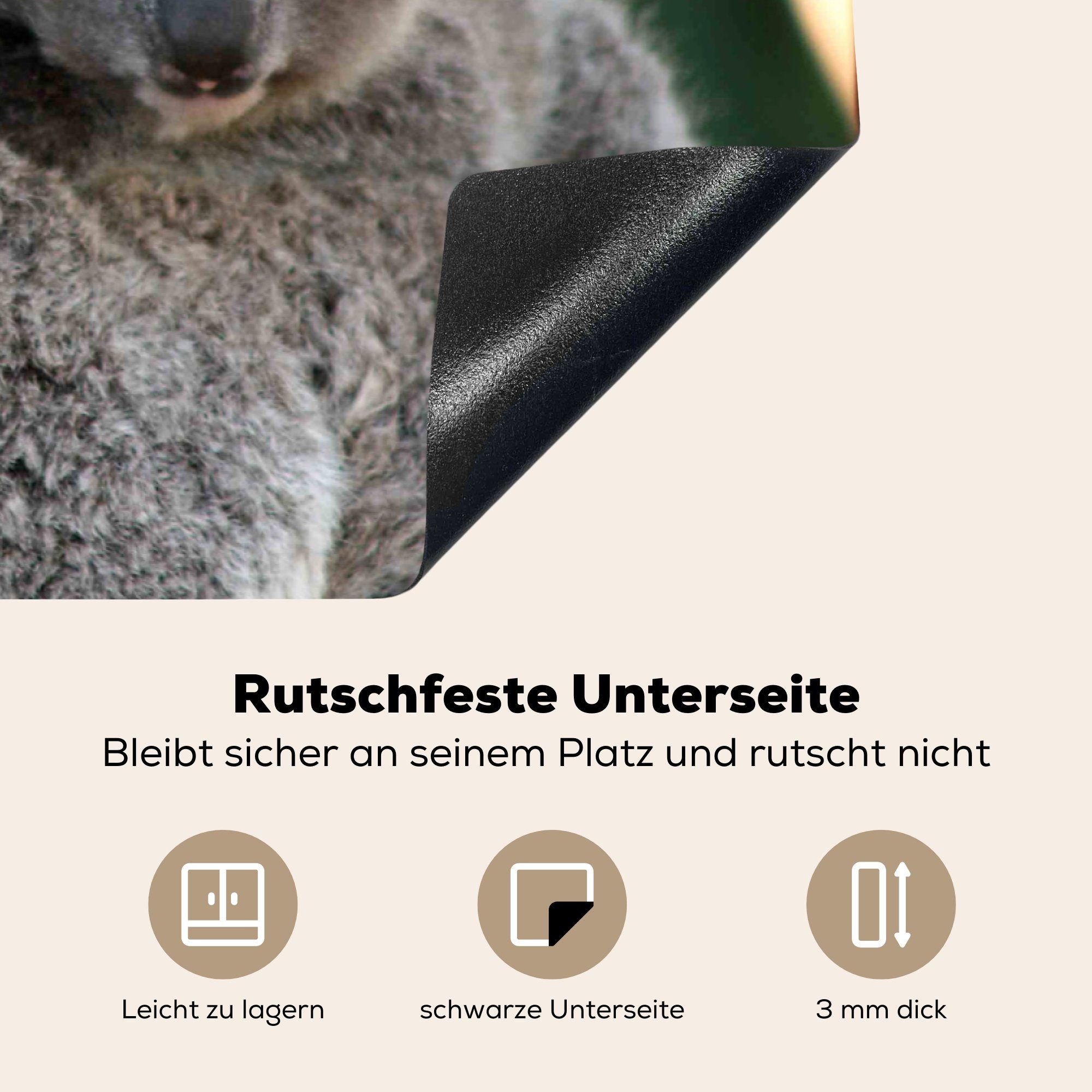 MuchoWow Herdblende-/Abdeckplatte cm, Schutz 81x52 Mädchen, - - Koalas küche, tlg), - Vinyl, - Vater für (1 Induktionskochfeld die Kind Jungen Ceranfeldabdeckung