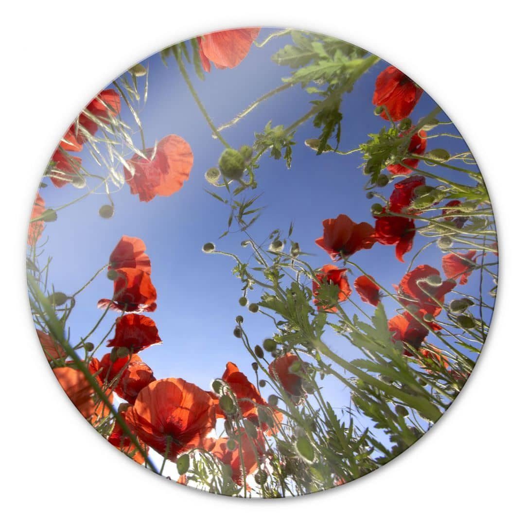 K&L Wall Art Glasbild Glas Wandbild Rund Glasbild Mohnfeld Blumen Wiese Mohnblume, Wandschutz Deko Bilder