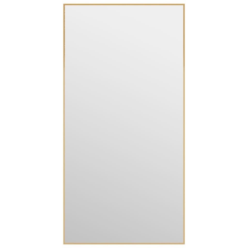 vidaXL Spiegel 40 x 80 cm Türspiegel Golden 40x80 cm Glas und Aluminium Wandspiegel B