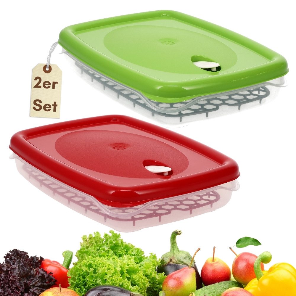 GarPet Frischhaltedose 2er Set Frischhaltedosen mit Deckel Abtropfgitter Gefrierdosen 2,5 L