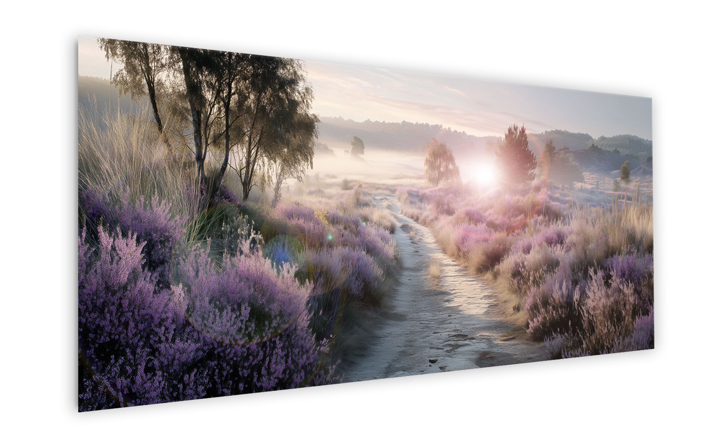 artissimo Glasbild XXL Bild aus Glas 125x50 cm / Panorama Wandbild groß / Wanddeko modern, Landschaft: Heidelandschaft im Morgenlicht in Lila und Beige