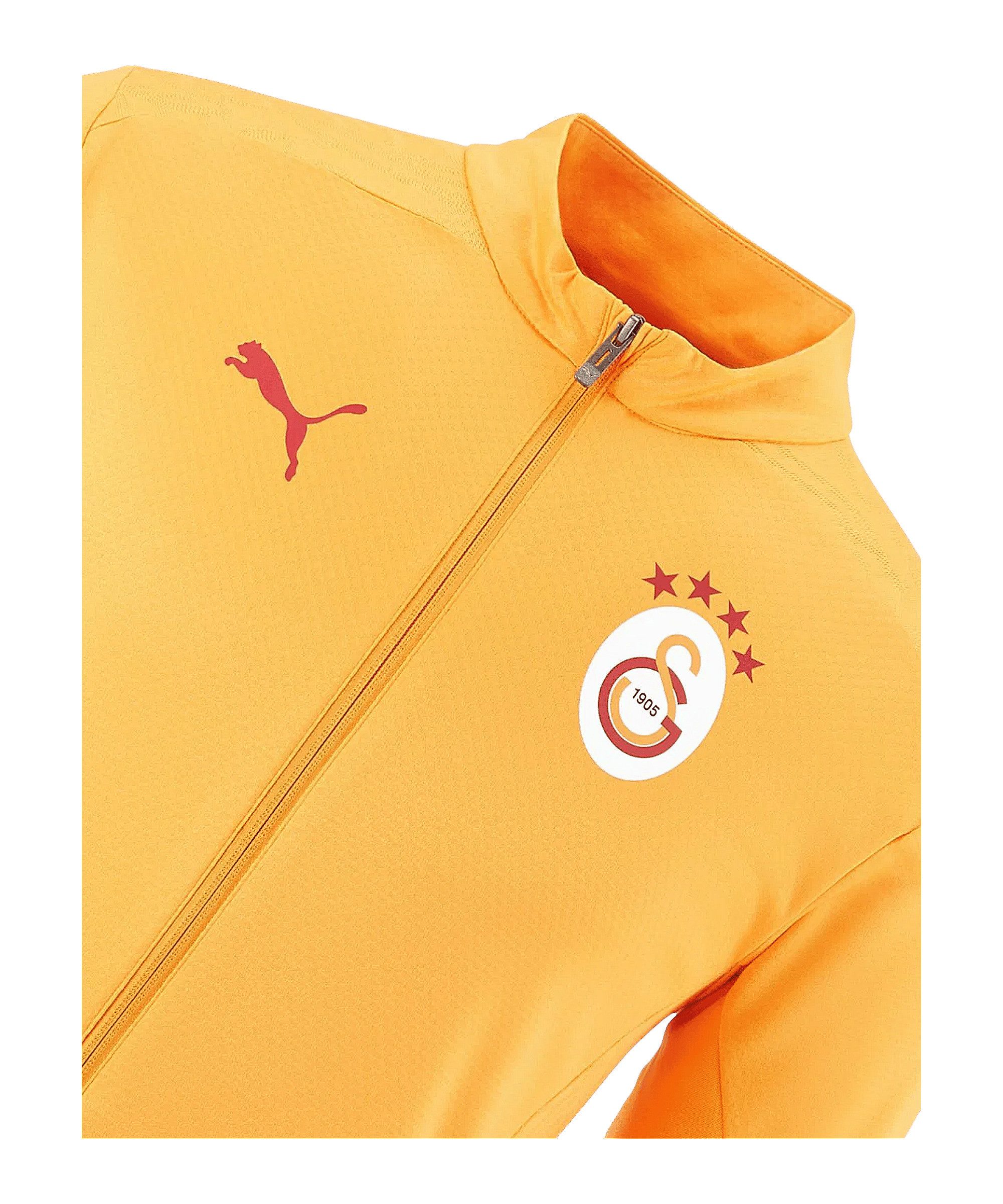 PUMA Sweatjacke PUMA Galatasaray Istanbul Trainingsjacke Polyester
