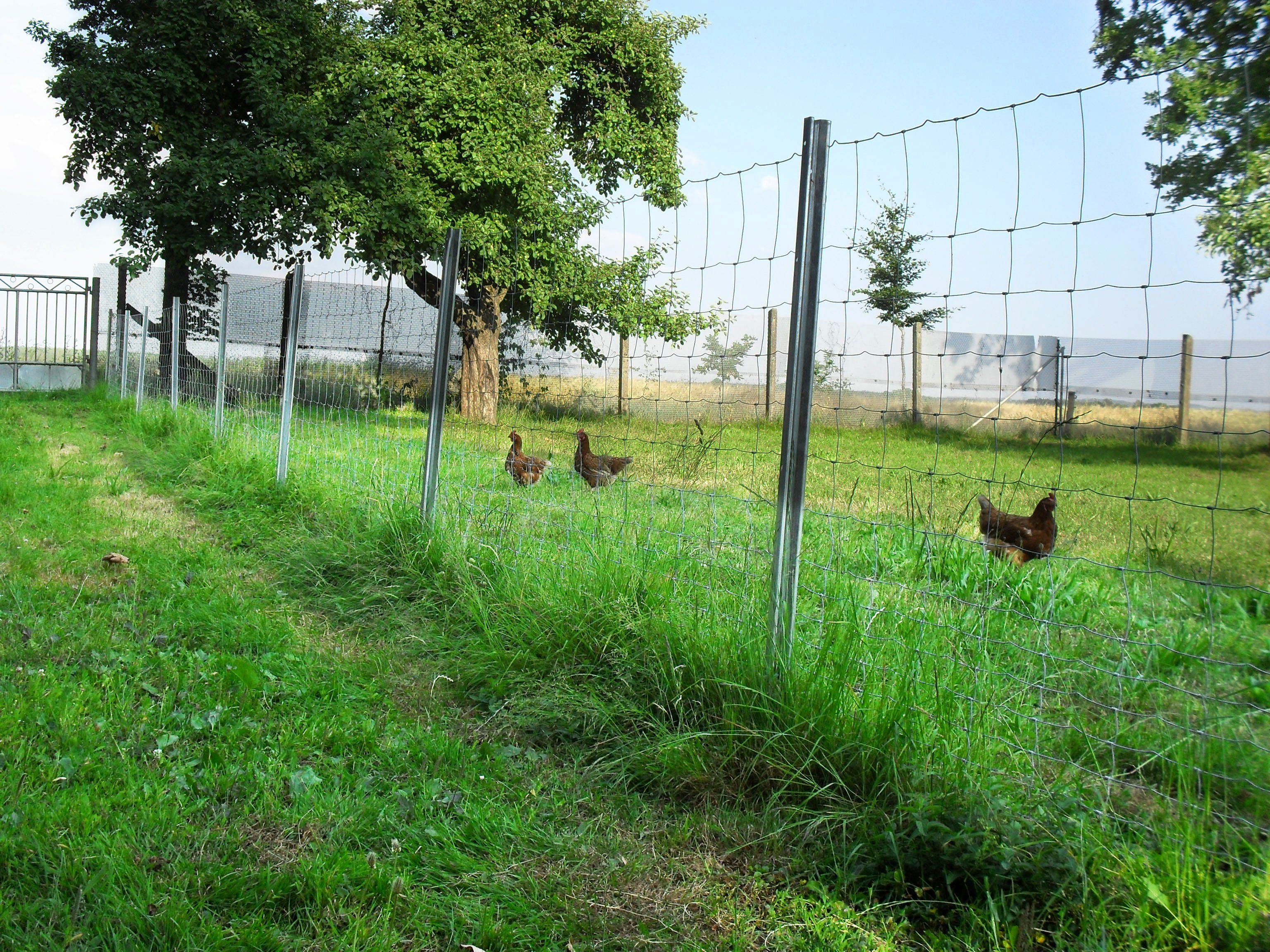 Aquagart Wildzaun 350m Wildzaun Forstzaun Weidezaun Drahtzaun 200/22/15, (1-St)