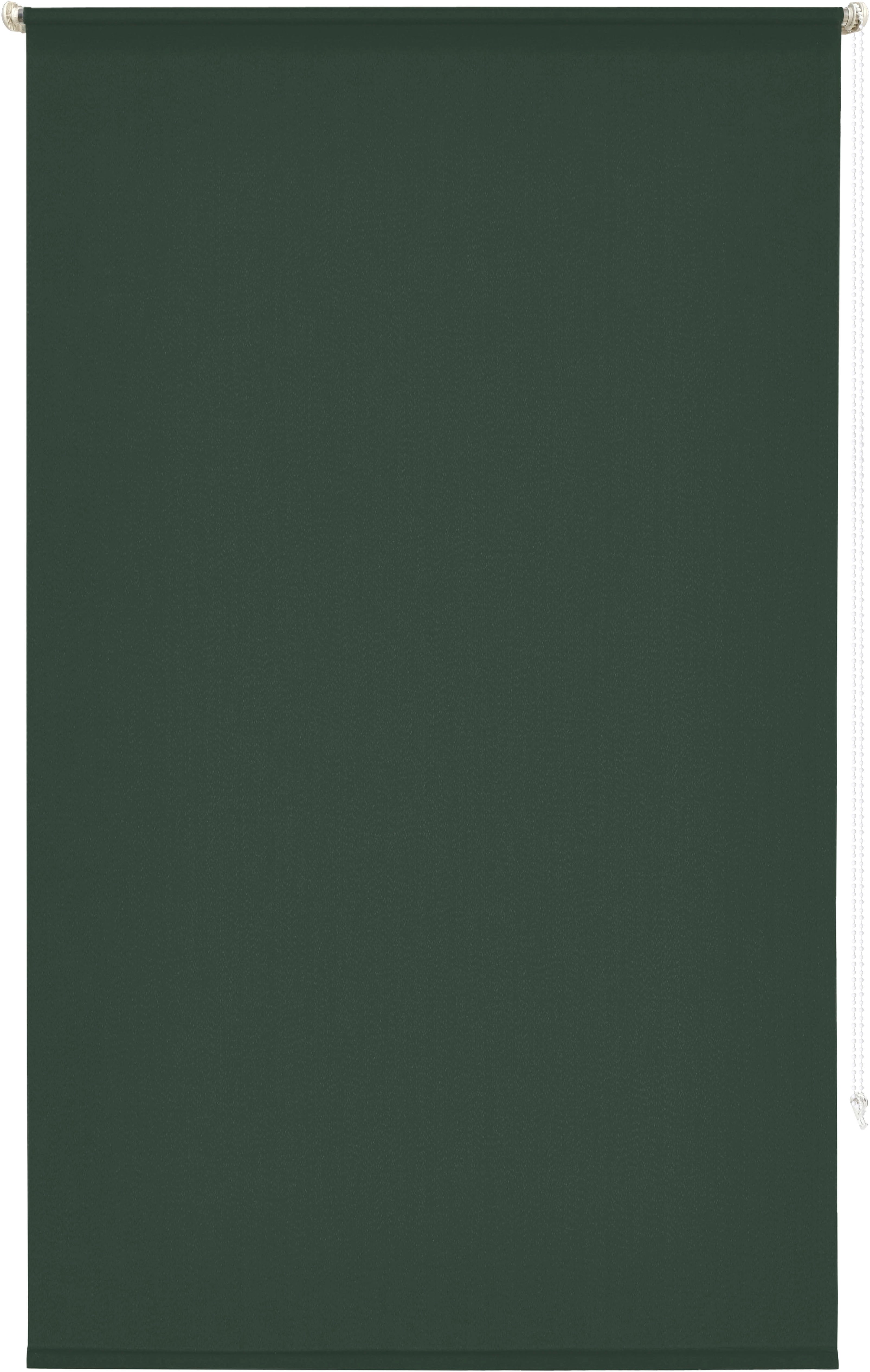 Seitenzugrollo Themse-Uni, my home, Lichtschutz, ohne Bohren, freihängend, günstig online kaufen