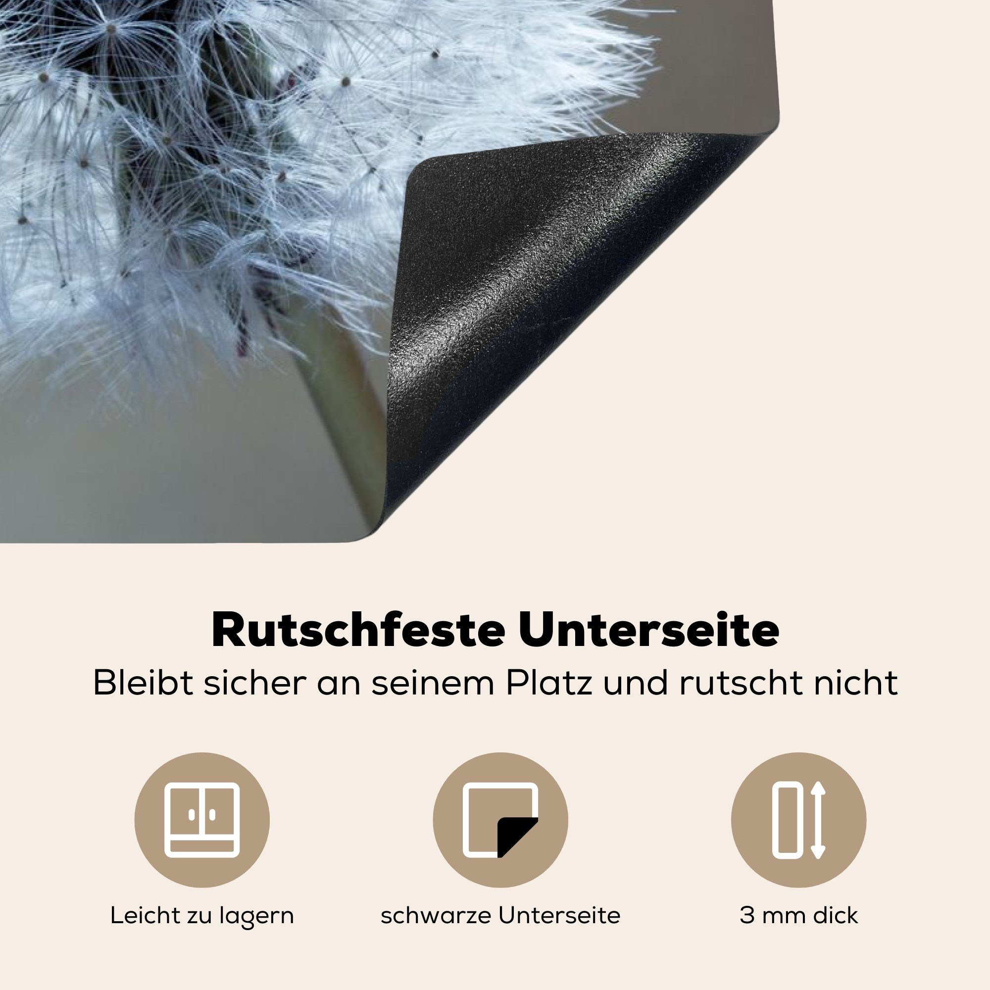 MuchoWow Herdblende-/Abdeckplatte Löwenzahn - Blume Vinyl, Pflanze, für (1 Arbeitsplatte cm, Ceranfeldabdeckung, 81x52 - küche tlg)