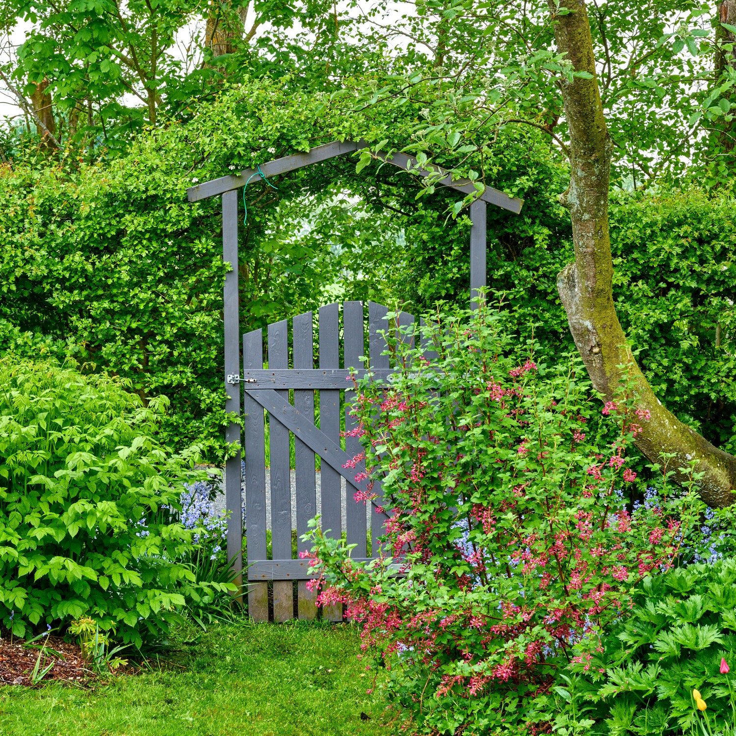 Wallario Möbelfolie Gartentor ins Grüne