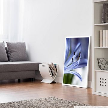 Sinus Art Poster Naturfotografie 60x90cm Poster Blaue Blume