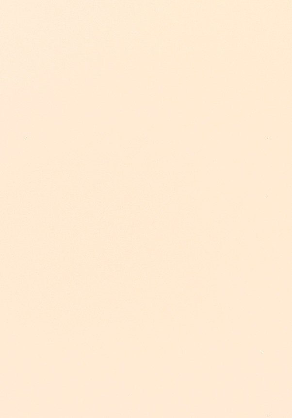 Velux Sichtschutzrollo mit Haltekrallen RHL 200 1086 Beige günstig online kaufen