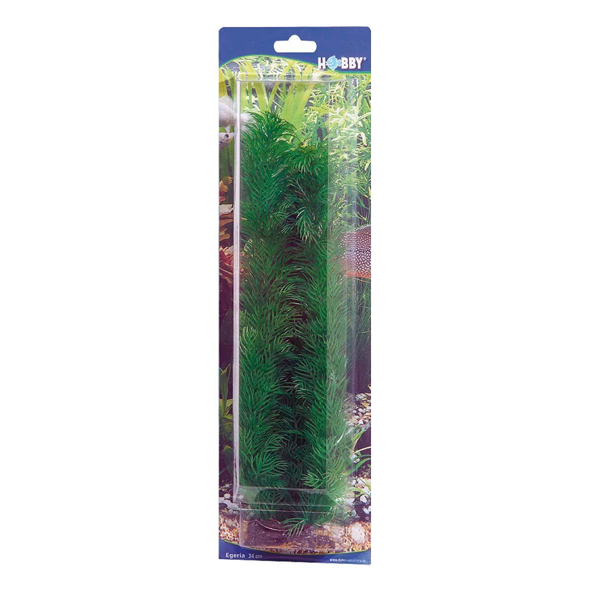 Aquariendeko Egeria, 34 cm künstliche Aquariumpflanze