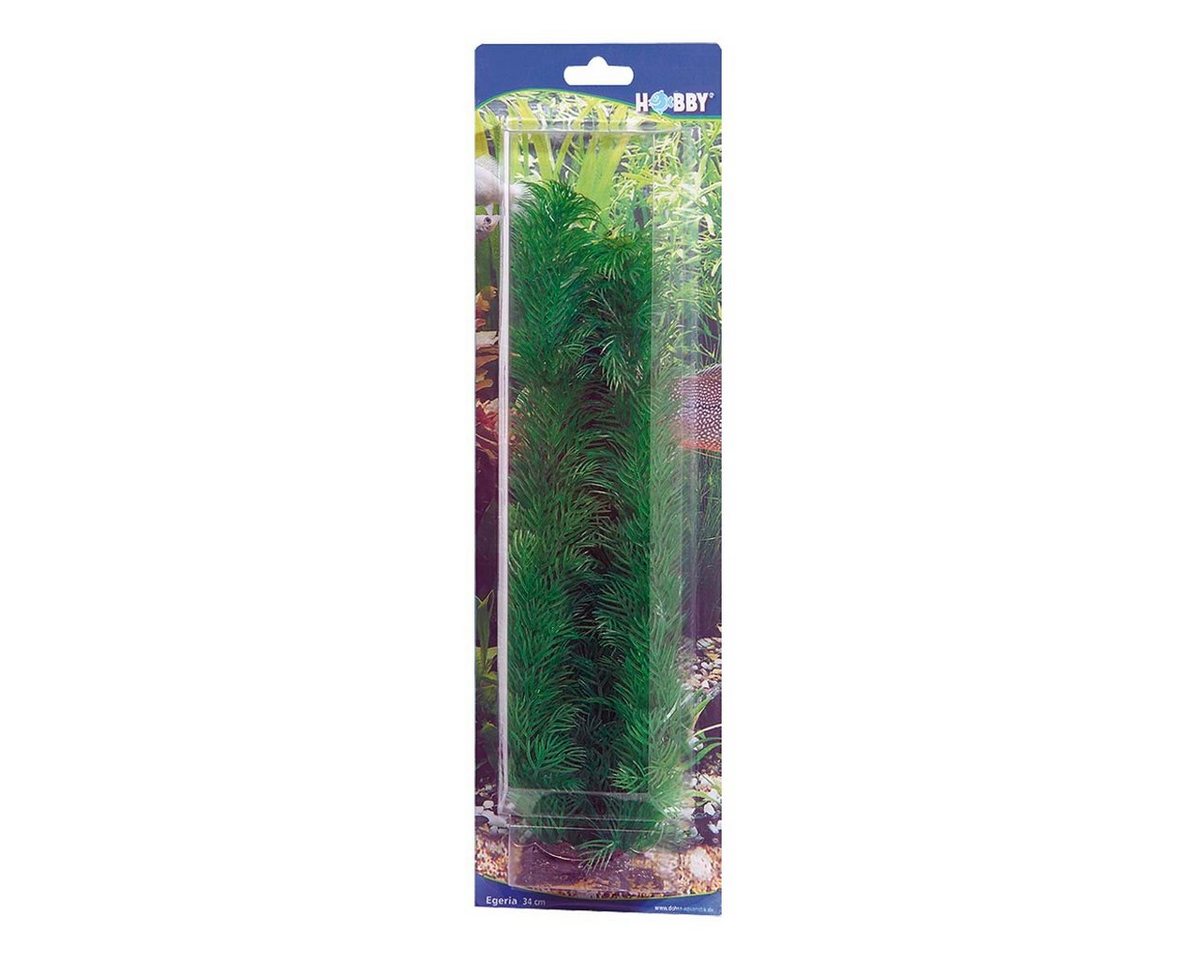 HOBBY Aquariendeko Egeria, 34 cm künstliche Aquariumpflanze