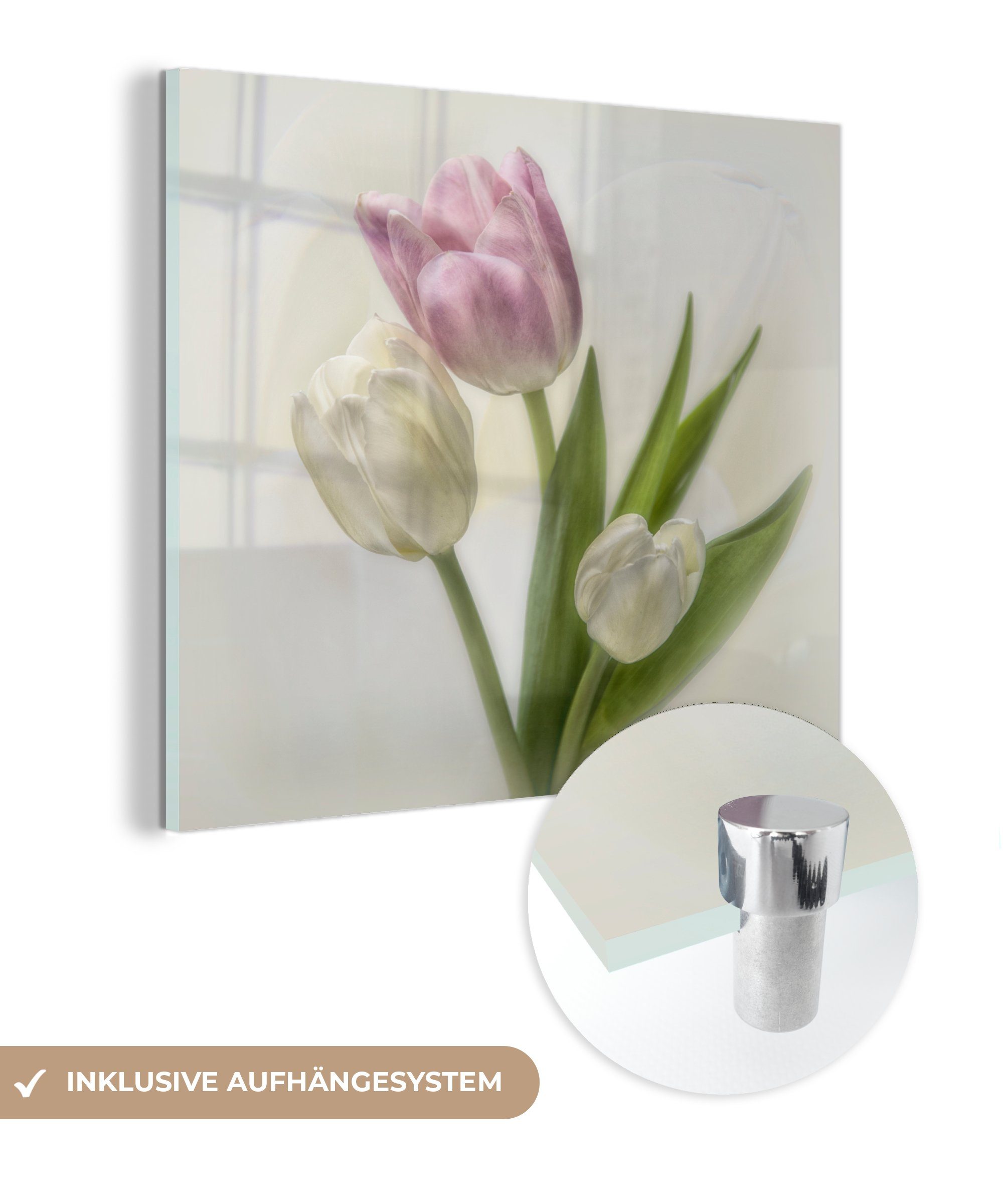MuchoWow Acrylglasbild Rosa und weiße Tulpen auf weißem Hintergrund, (1 St), Glasbilder - Bilder auf Glas Wandbild - Foto auf Glas - Wanddekoration