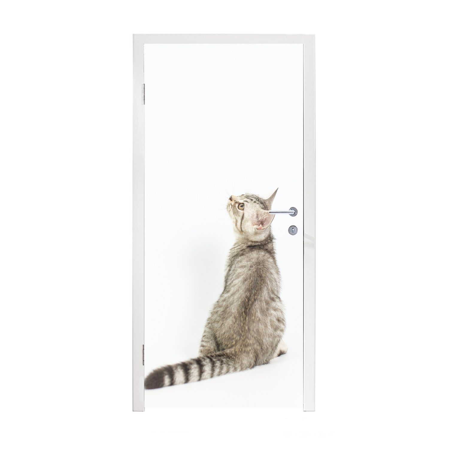 MuchoWow Türtapete bedruckt, 75x205 Fell, für St), Fototapete (1 - Katze - cm Tür, Matt, Türaufkleber, Haustiere