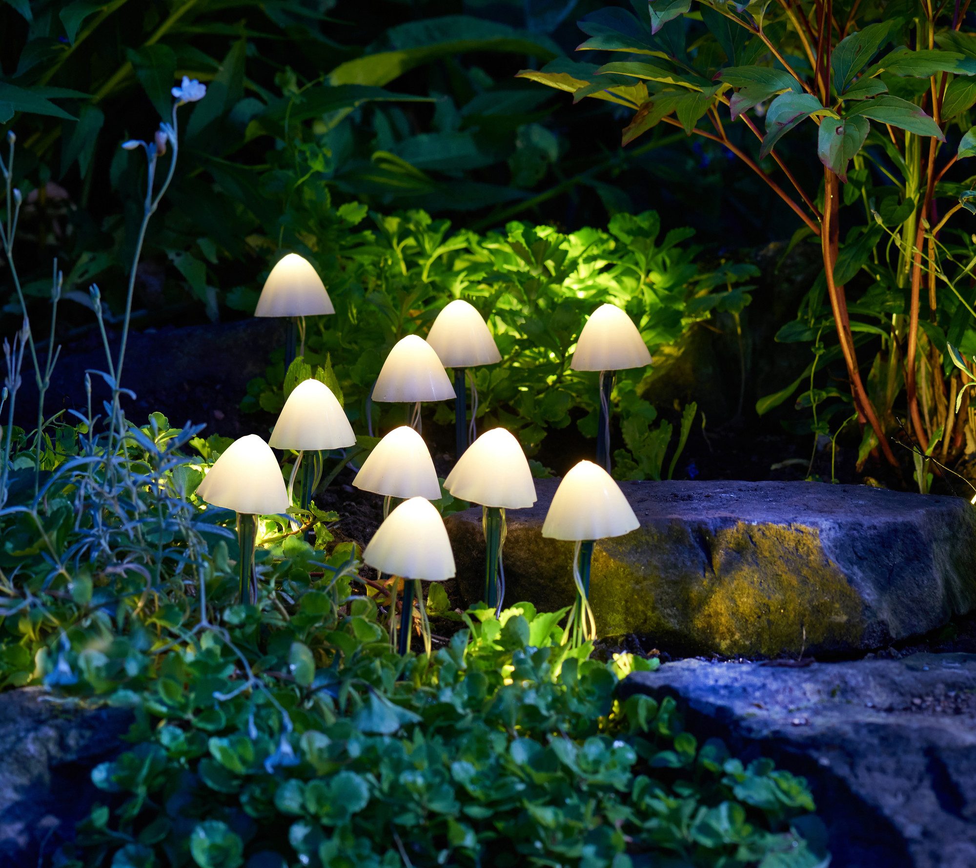 Smart Garden LED Solarleuchte Solarlicht-Pilze "LumiShrooms" günstig online kaufen