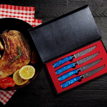 Küchenkompane Steakkochmesser Steak-Messerset Shiburu