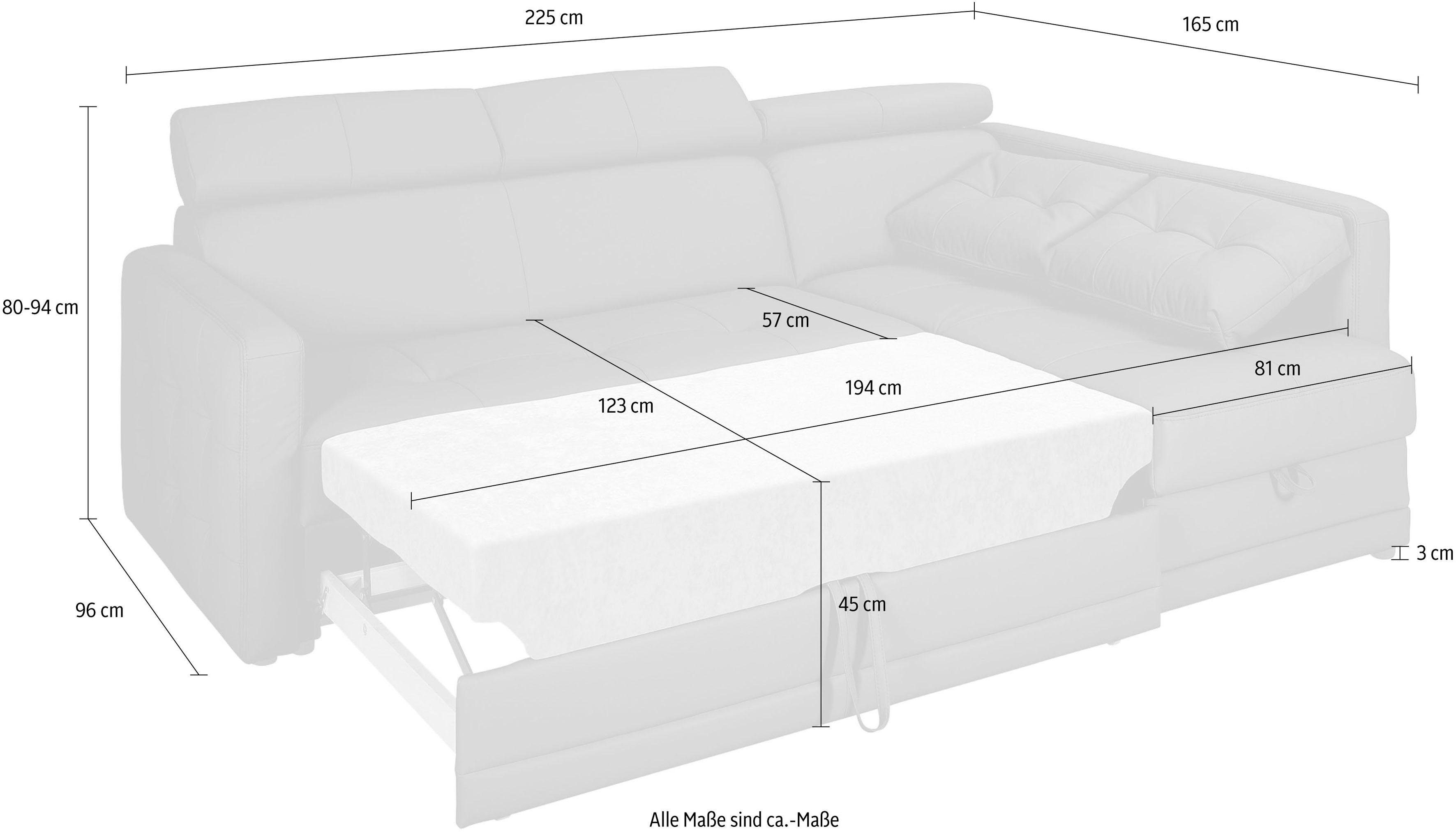 exxpo - sofa fashion Ecksofa Arles, Federkern, zeitlos, Breite 225cm, L-Form, wahlweise mit Bettfunktion und Bettkasten, inkl. Kopfteilverstellung