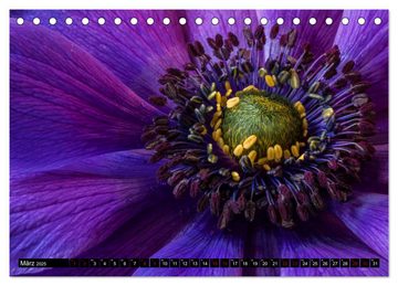 CALVENDO Wandkalender Blühwelten (Tischkalender 2025 DIN A5 quer), CALVENDO Monatskalender