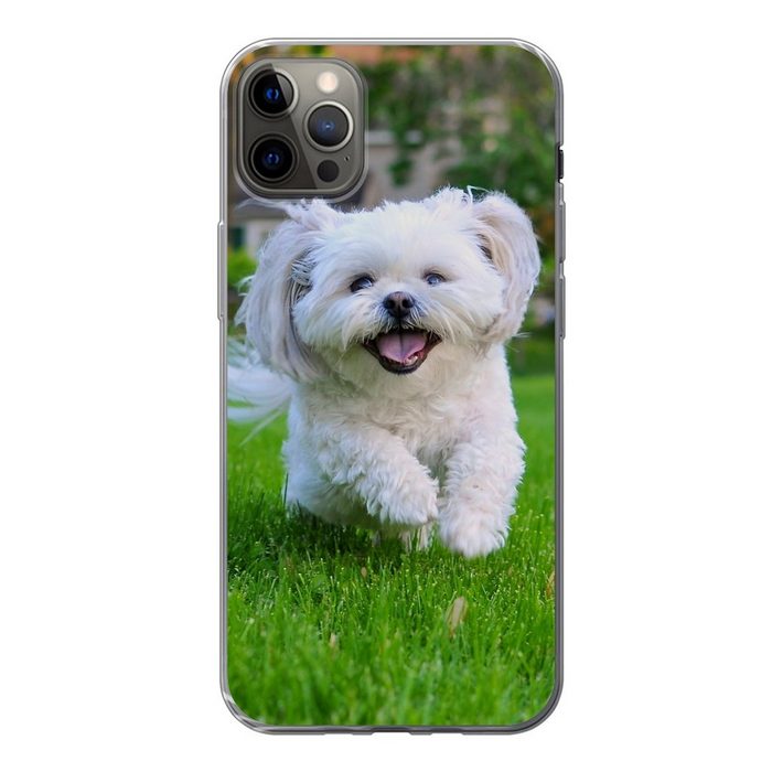MuchoWow Handyhülle Ein Shih Tzu Hund läuft durch das grüne Gras Handyhülle Apple iPhone 13 Pro Max Smartphone-Bumper Print Handy
