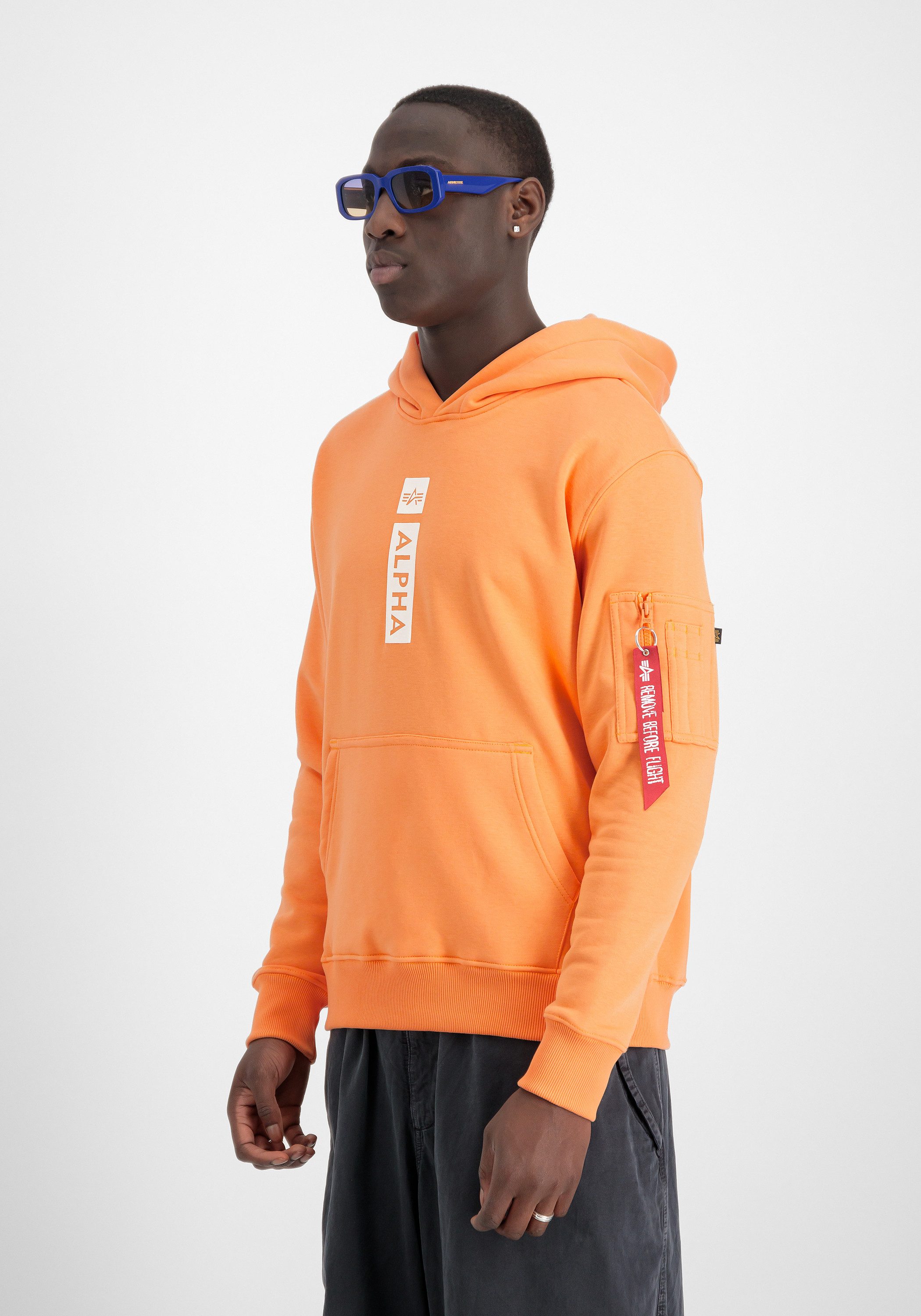 Hoodie Alpha Puff Print Hoodie