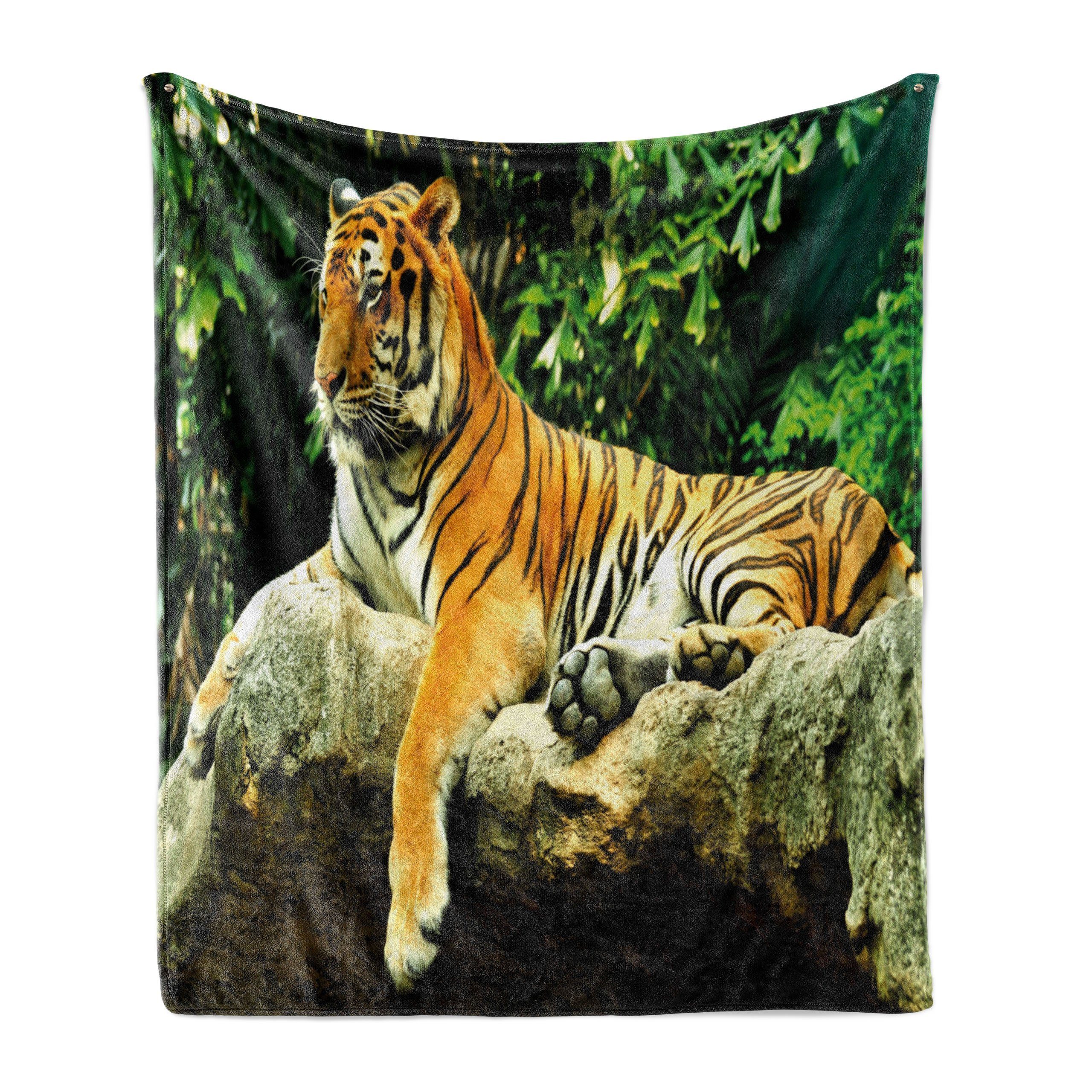 Wohndecke Gemütlicher Plüsch für den Innen- und Außenbereich, Abakuhaus, Tiger Big Cat Resting in Wald