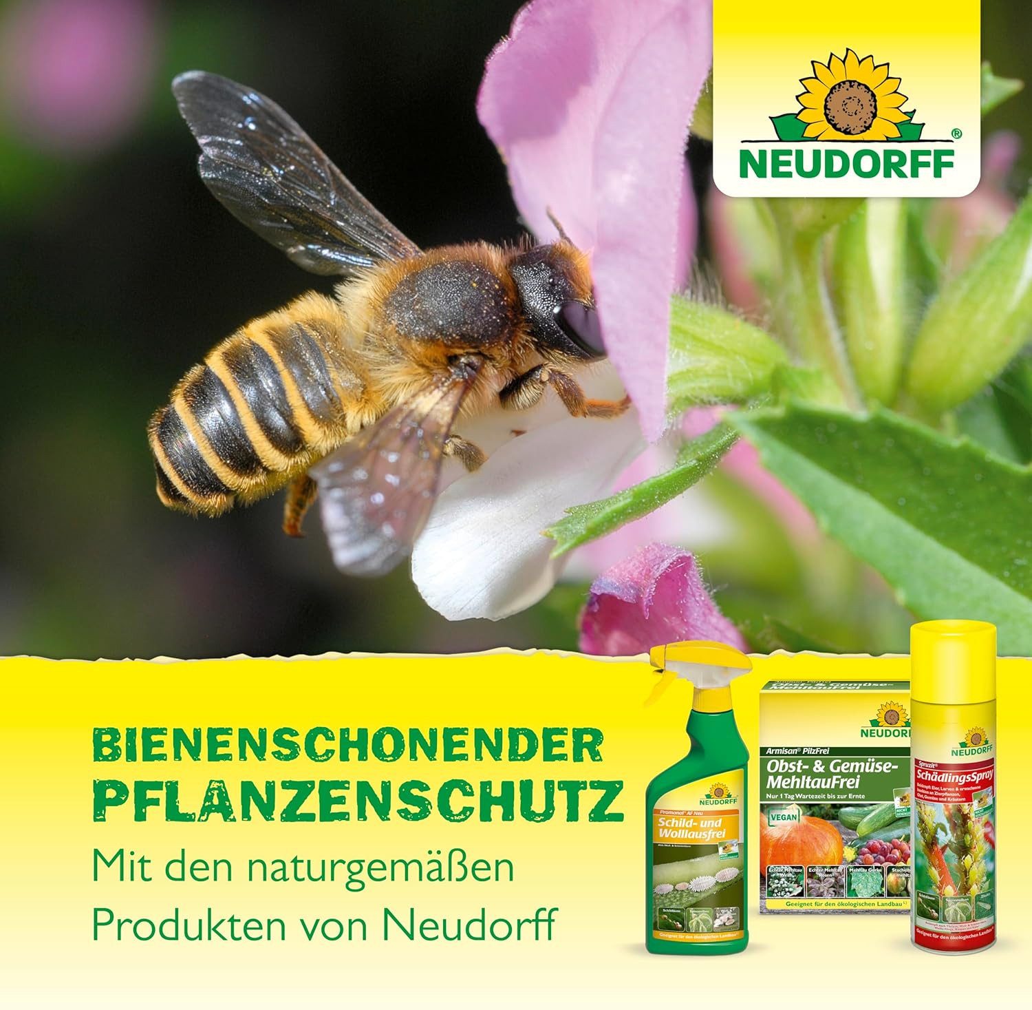 Neudorff Insektenspray Neudosan AF Neu Blattlausfrei 500 ml, 500 ml, Anwendungsfertiges Spray zur effektiven Bekämpfung