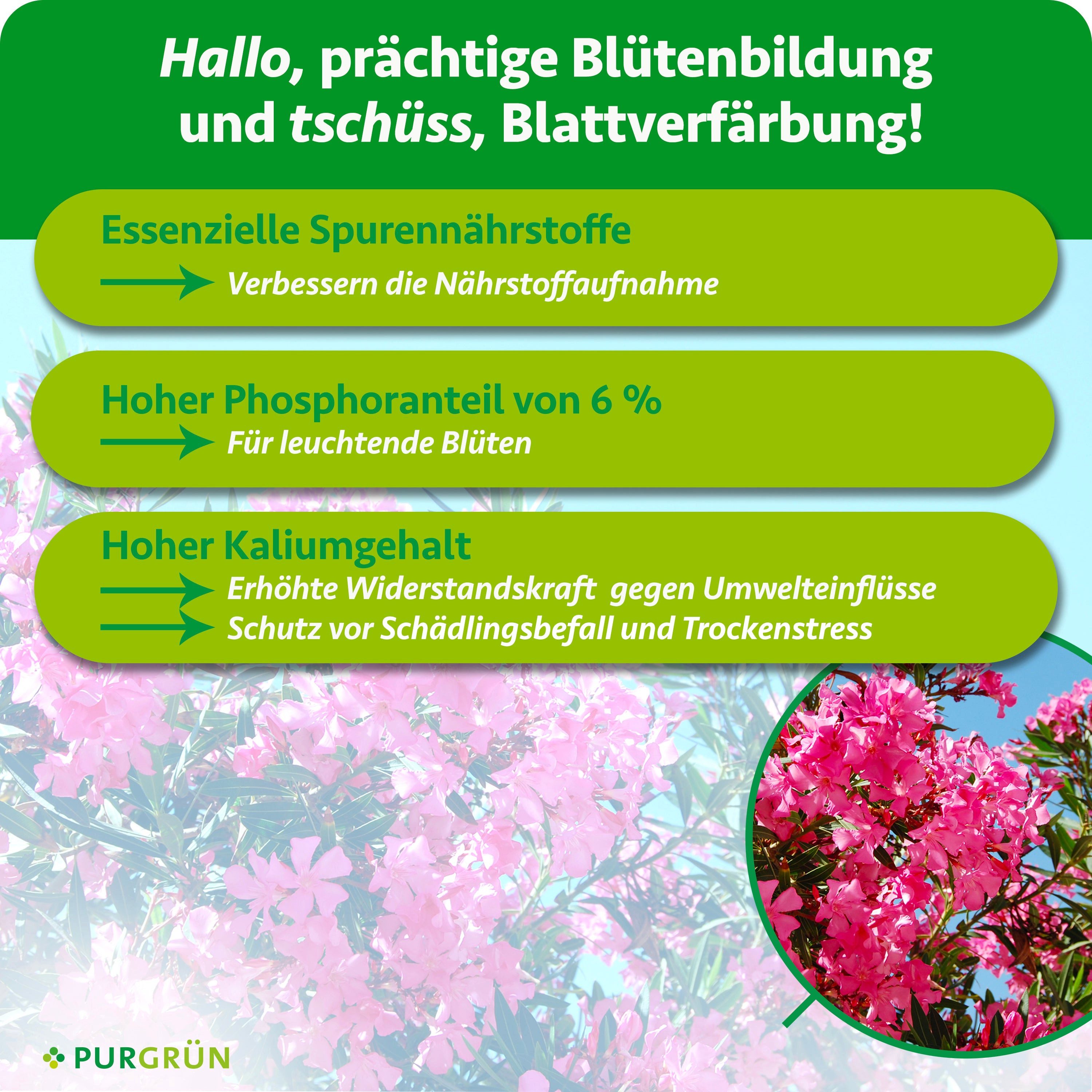 Purgrün Blumendünger Oleander Dünger, NPK 6+6+8, für Blütenpracht, 1L, Flüssigdünger, 1-St., 1 Liter