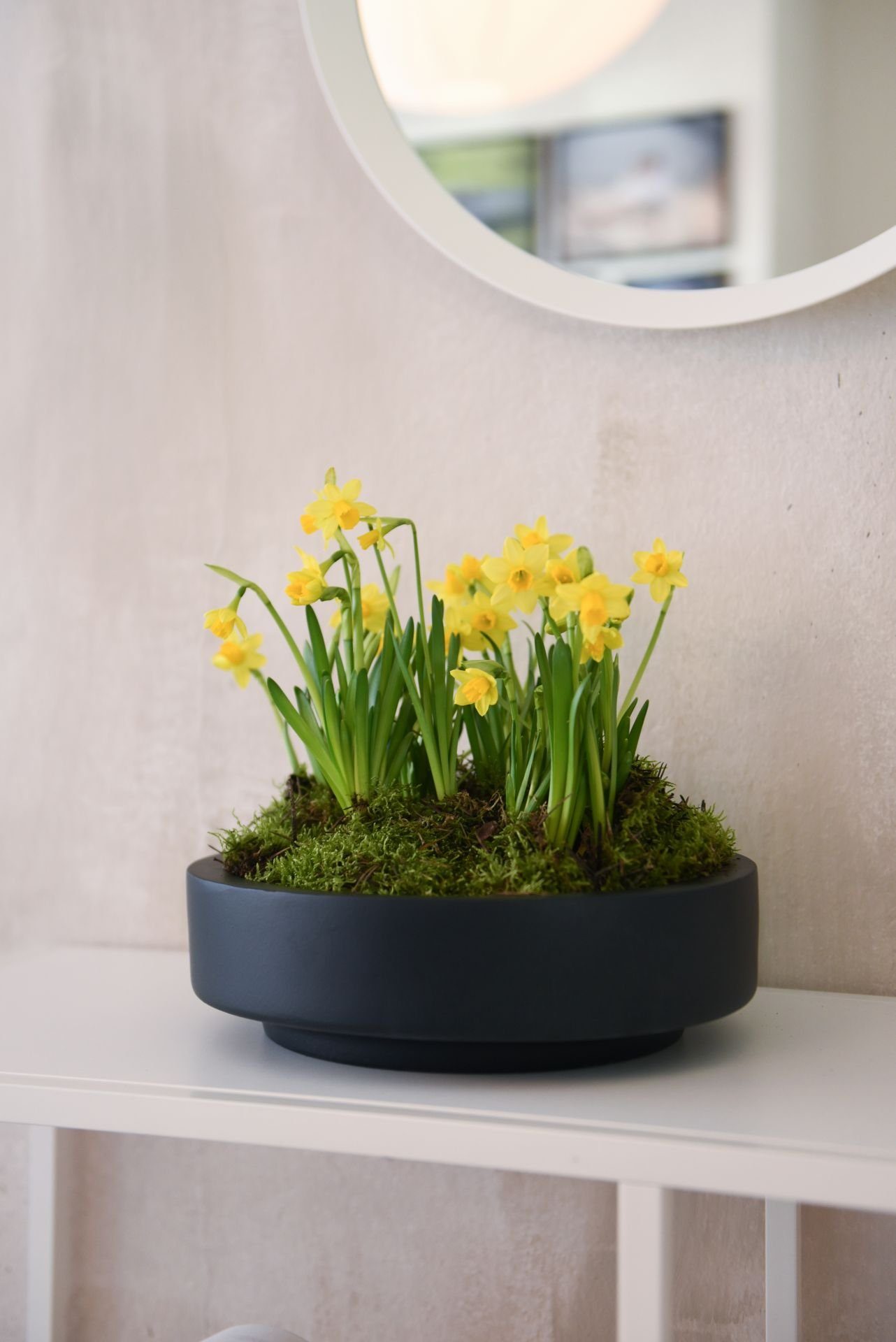 VIVANNO Pflanzschale Fiberglas ESCADA LOW Schale - Anthrazit Matt (1 St), 3 günstig online kaufen