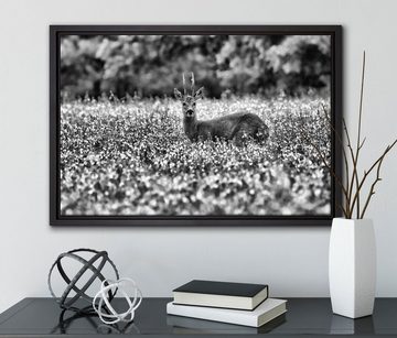 Pixxprint Leinwandbild junger Hirsch auf Wildwiese, Wanddekoration (1 St), Leinwandbild fertig bespannt, in einem Schattenfugen-Bilderrahmen gefasst, inkl. Zackenaufhänger