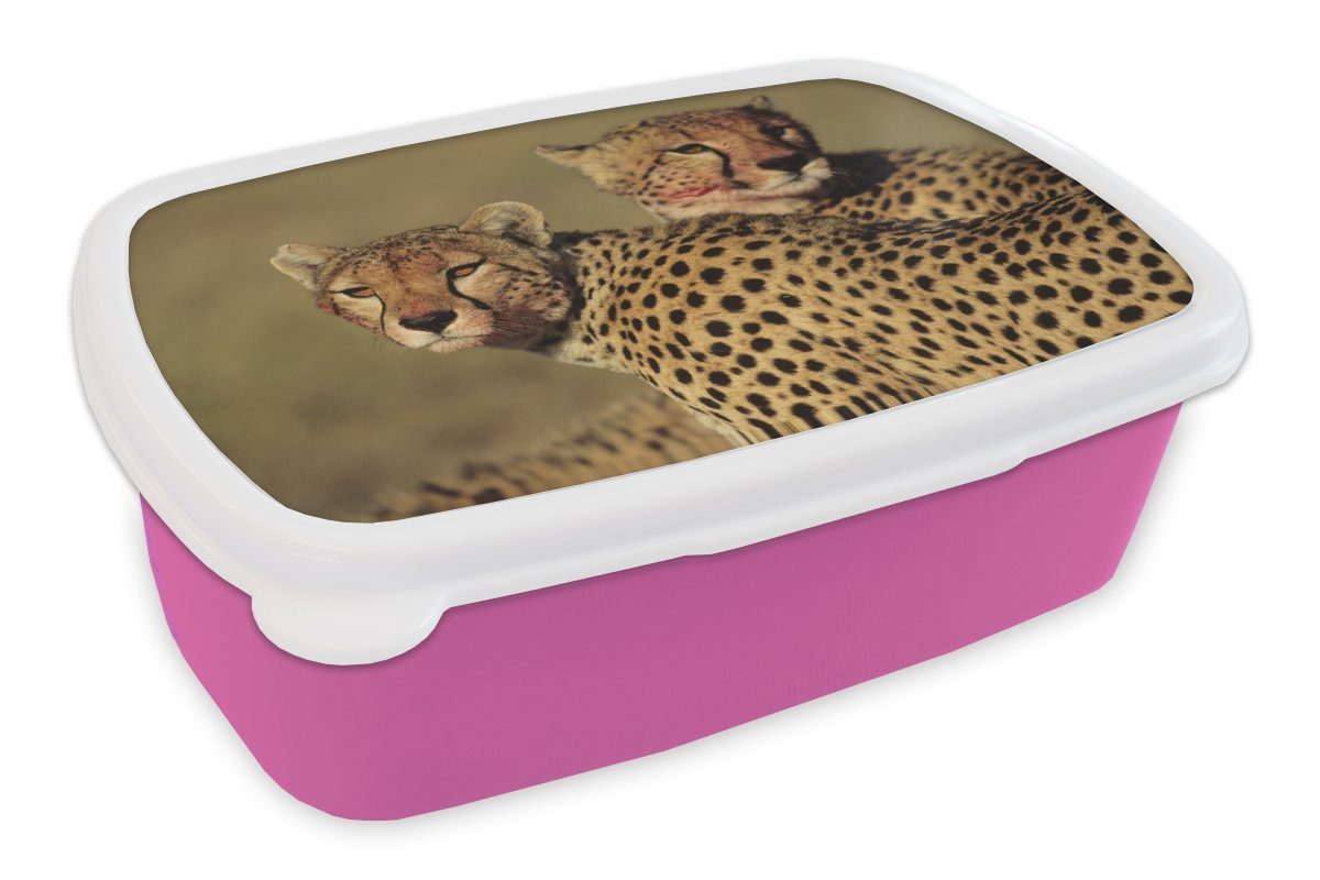 MuchoWow Lunchbox Zwei Geparden in der Savanne, Kunststoff, (2-tlg), Brotbox für Erwachsene, Brotdose Kinder, Snackbox, Mädchen, Kunststoff rosa
