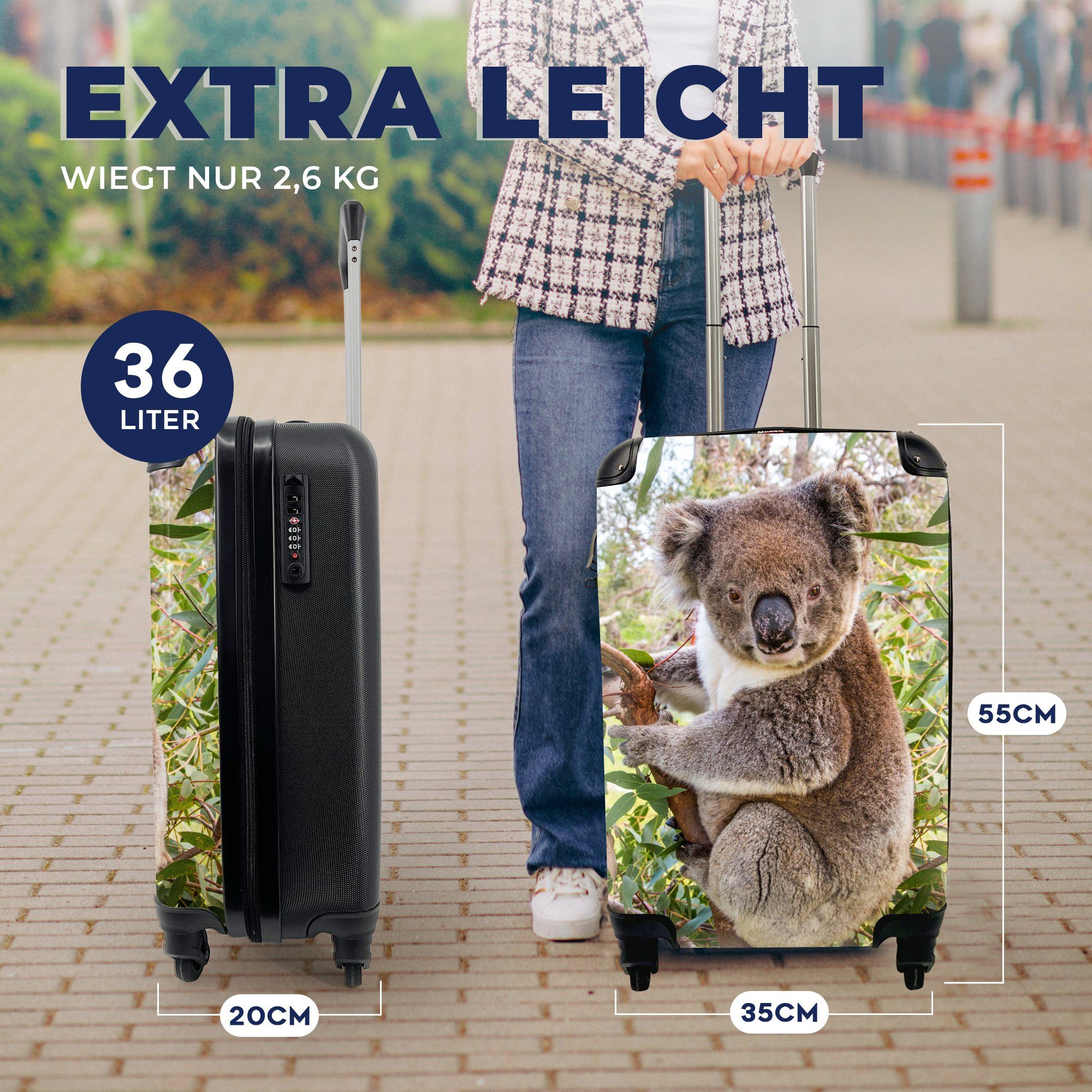 MuchoWow Handgepäckkoffer Koala - Handgepäck Rollen, - 4 Ferien, Blätter rollen, Trolley, für Reisetasche - Kinder mit - Reisekoffer Mädchen, Jungen