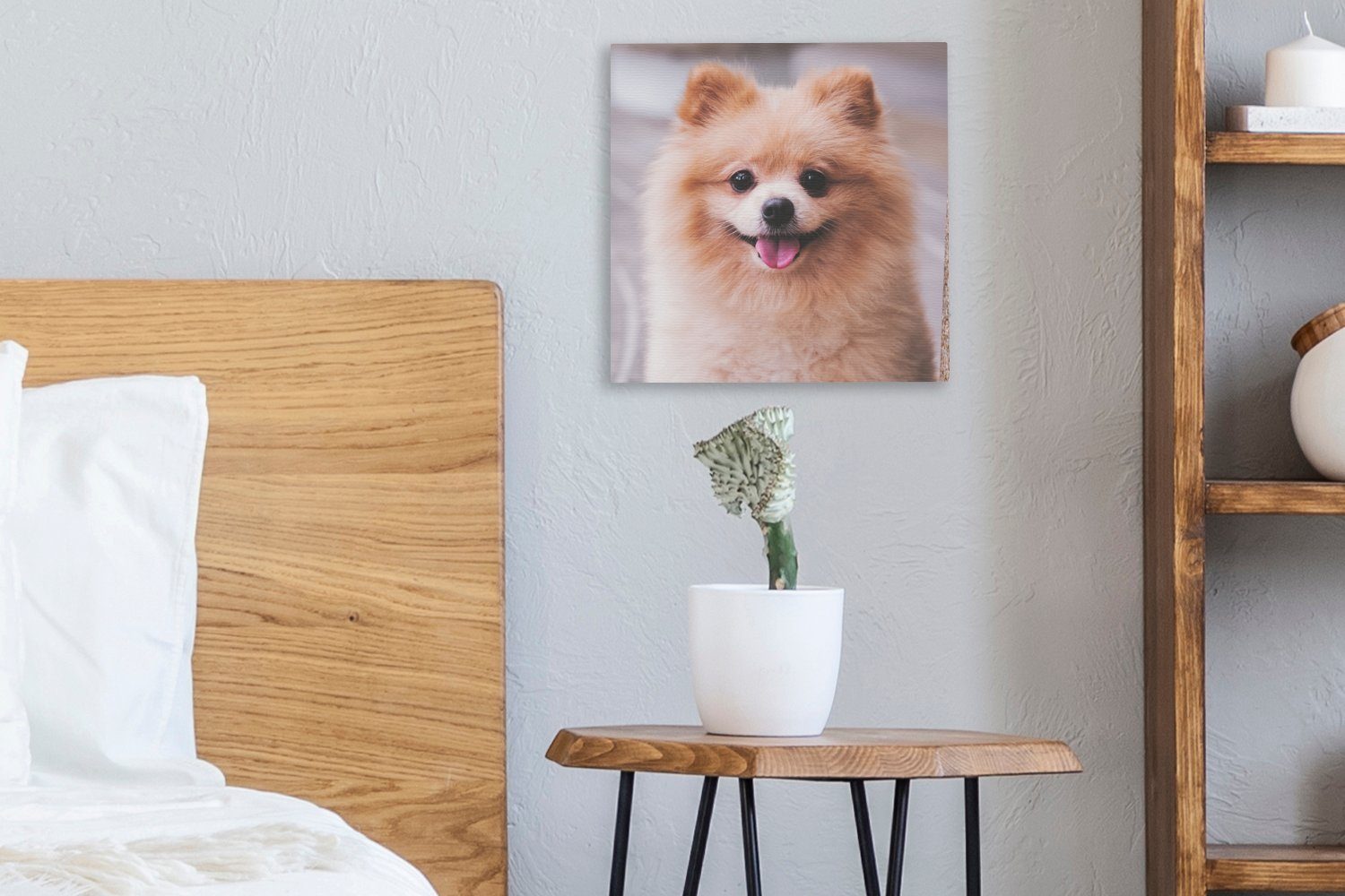 der Pomeranian (1 für Leinwand Wohnzimmer auf Leinwandbild Bilder St), Straße, Schlafzimmer OneMillionCanvasses®