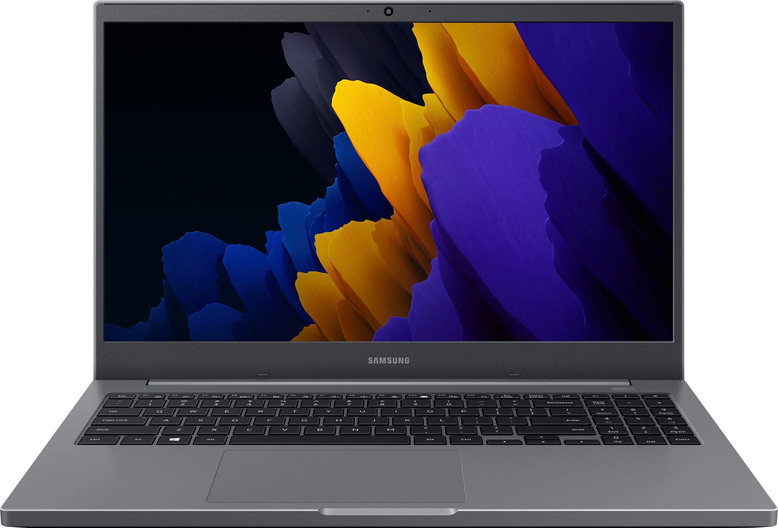 Samsung Notebook Plus2 Notebook (39,6 cm/15,6 Zoll, Intel Celeron 6305, UHD  Graphics, 128 GB SSD)