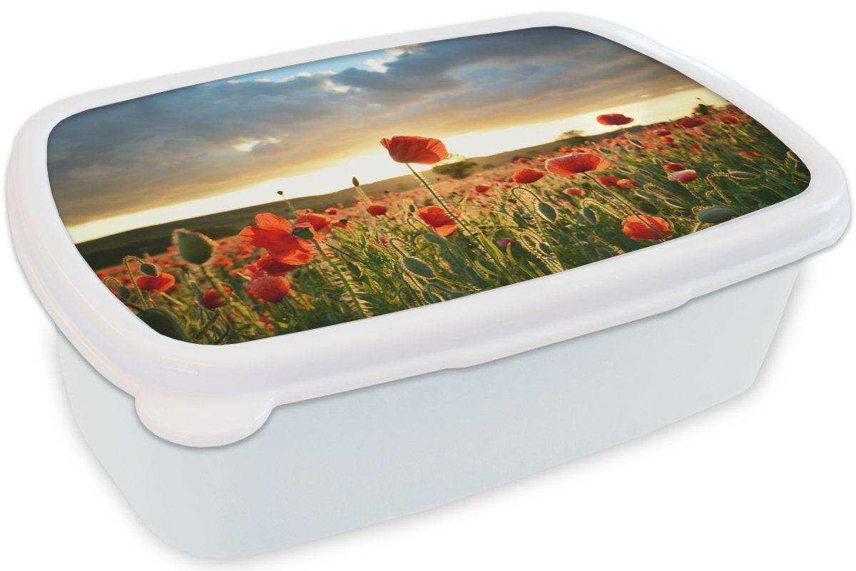 MuchoWow Lunchbox Bunter vielen Brotdose, über Brotbox und Kinder für Erwachsene, (2-tlg), Jungs weiß für Kunststoff, Himmel Mädchen und Mohnblumen