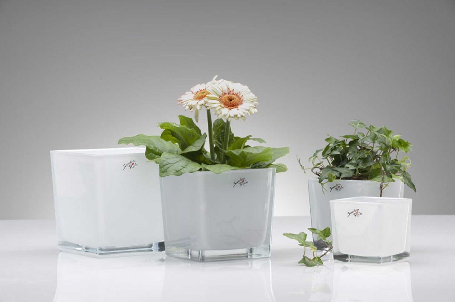 Sandra Rich Übertopf SANDRA RICH, Glasübertopf "CUBE" Pflanztopf Blumentopf Weiß 10x10cm