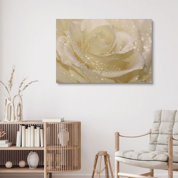 Posterlounge Holzbild Atteloi, Weiße Rose mit Tropfen, Badezimmer Landhausstil Fotografie